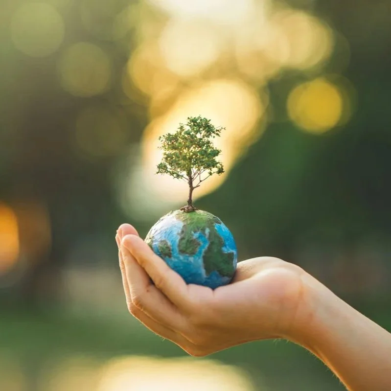 FEMALE LEADERSHIP – INNER LEADERSHIP FÜR DEIN WIRKEN IN DER WELT