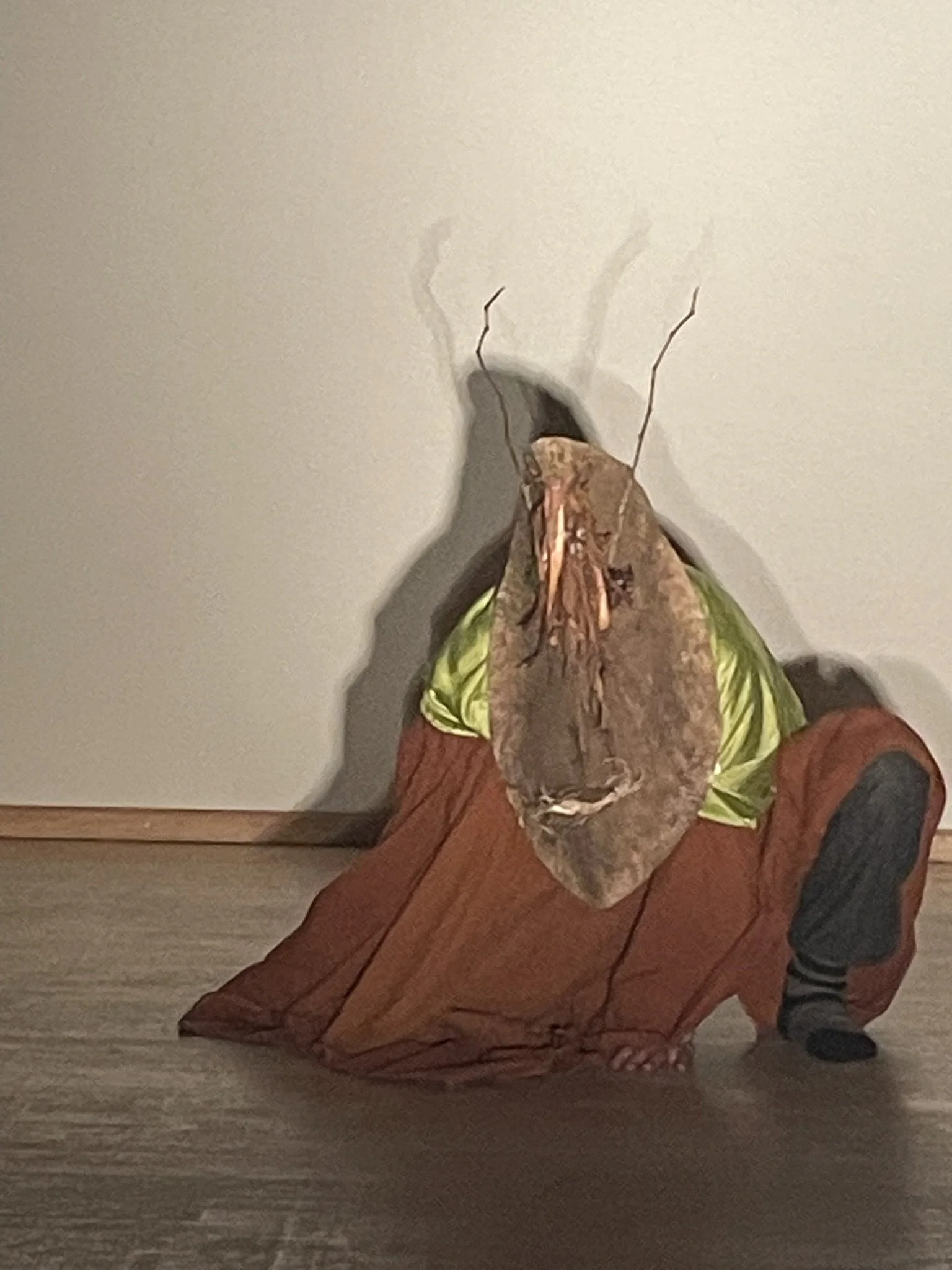 A8913A01-F3C6-4D8A-AE1C-AF0815384BF5_1_102_o.jpeg