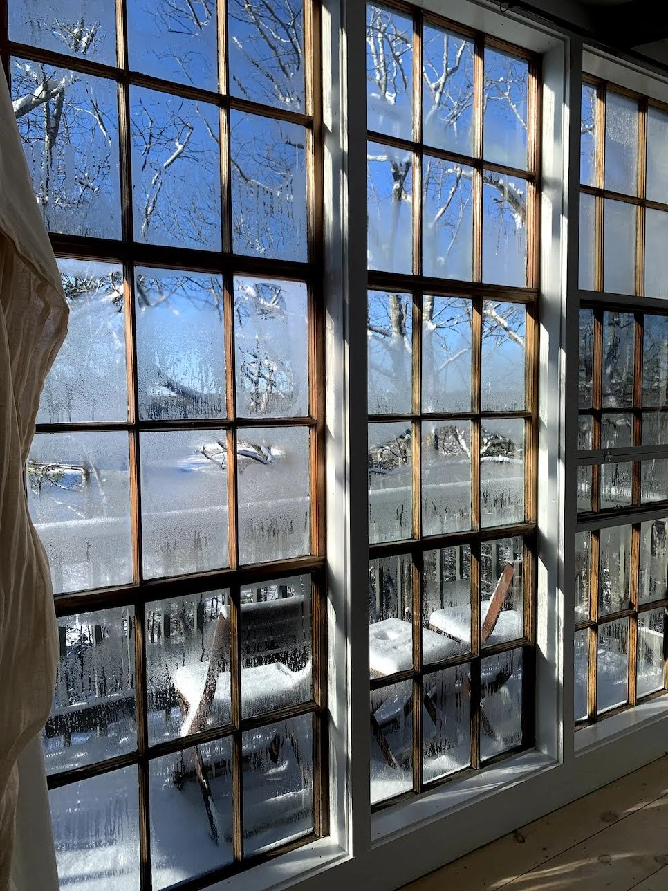 Treehouse Winter].jpeg