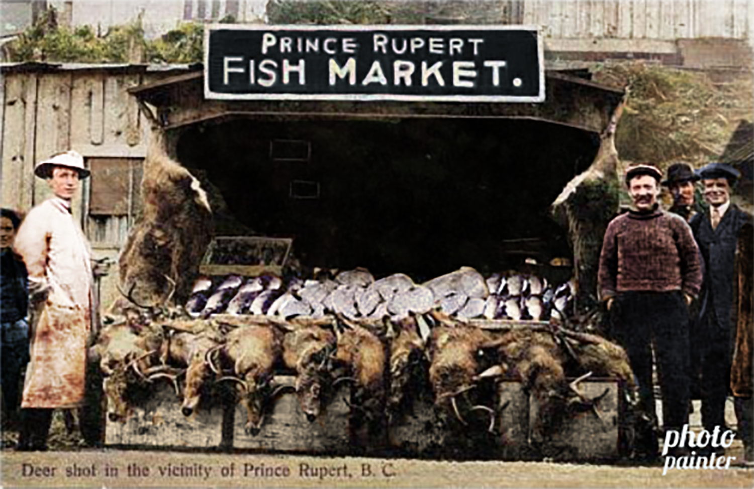 Five men standing next to the carcasses of deer lined up at the Prince Rupert Fish Market