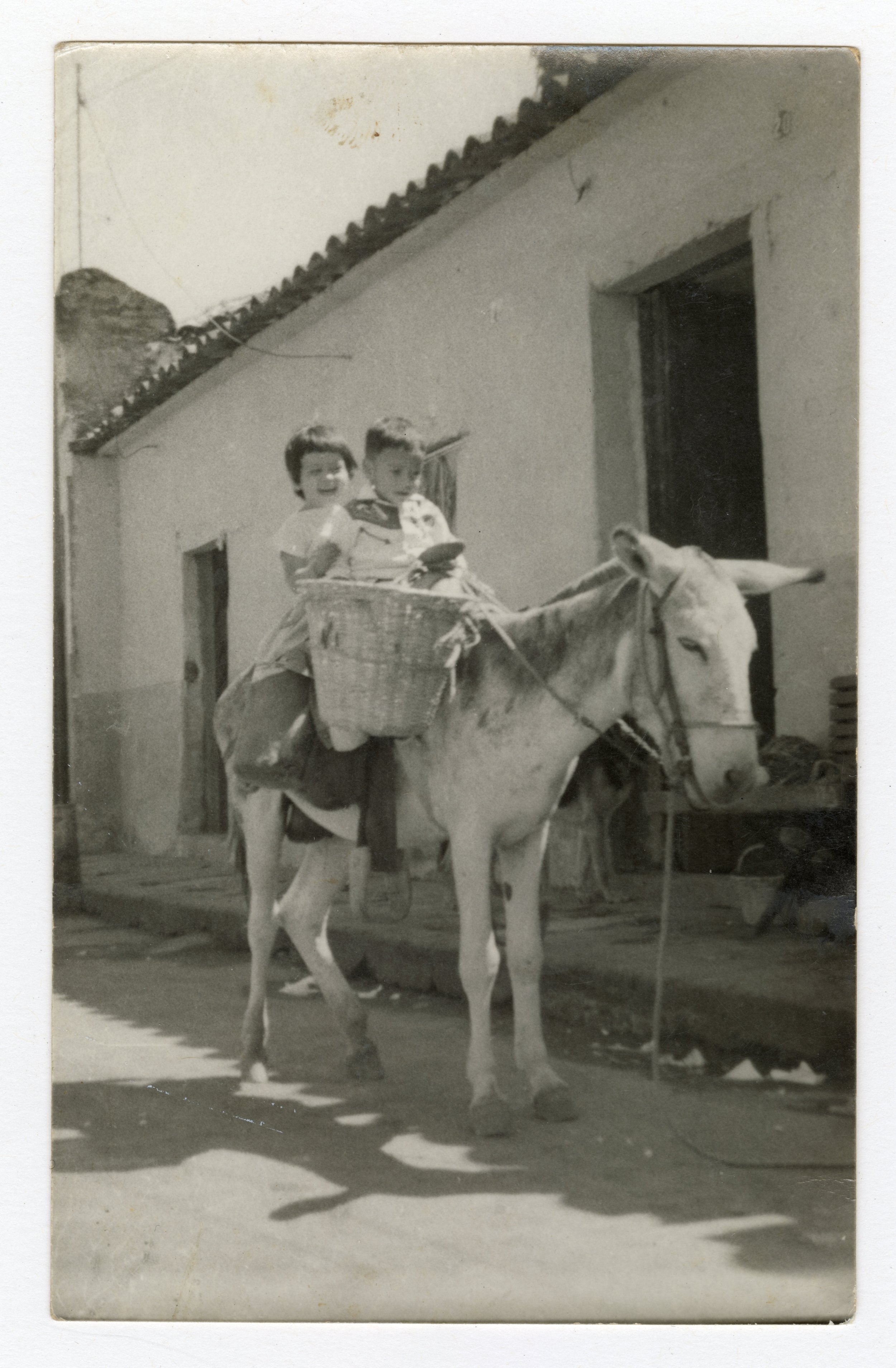 Marisa Nan Burro.jpg