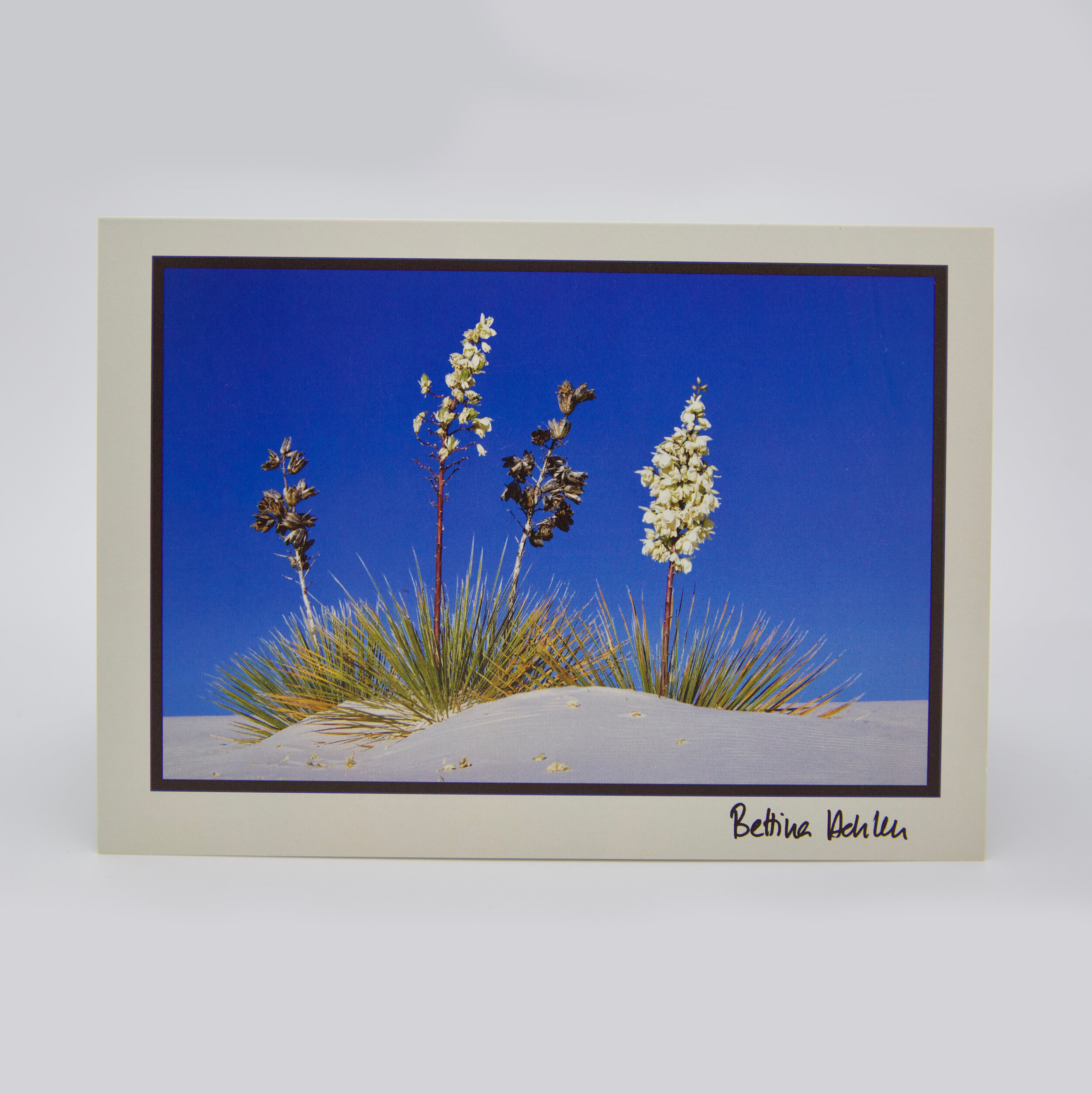Photo Greeting Card 5"x7" - White Sands