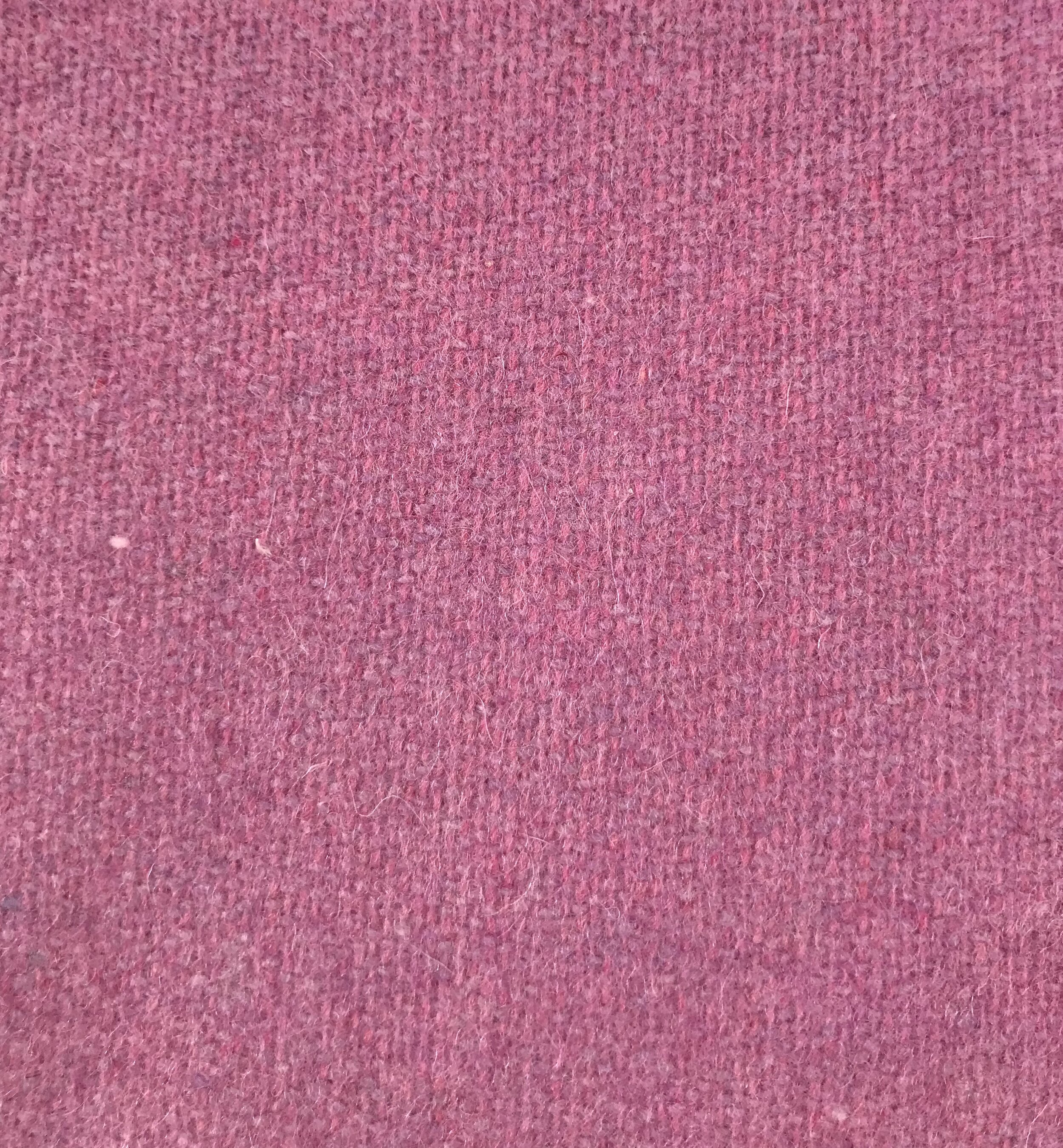 106E5786-A3C4-440C-96FB-D4586120733F.jpeg