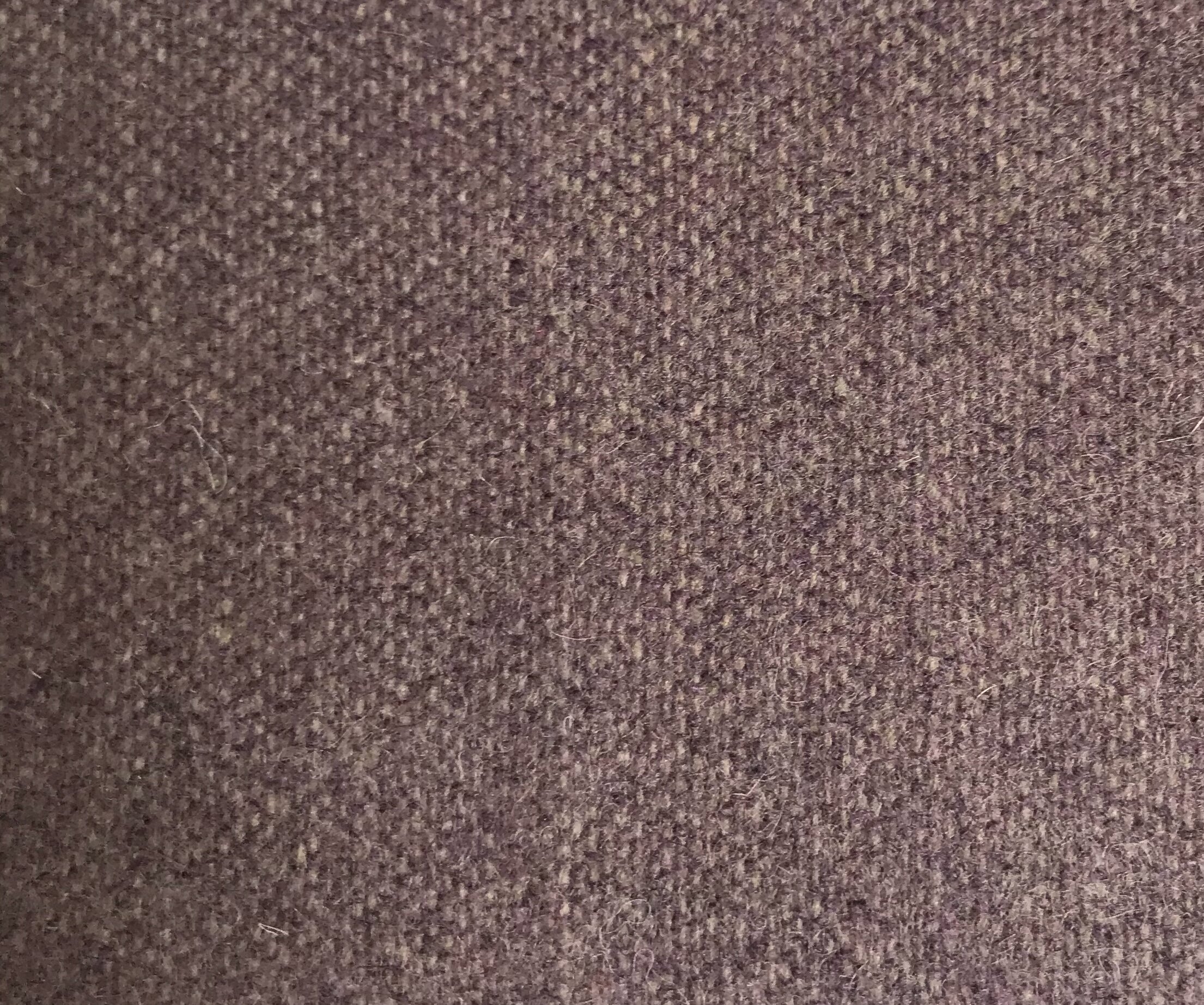 379357E2-7C21-40C0-83FA-AFB3B095FA4A.jpeg