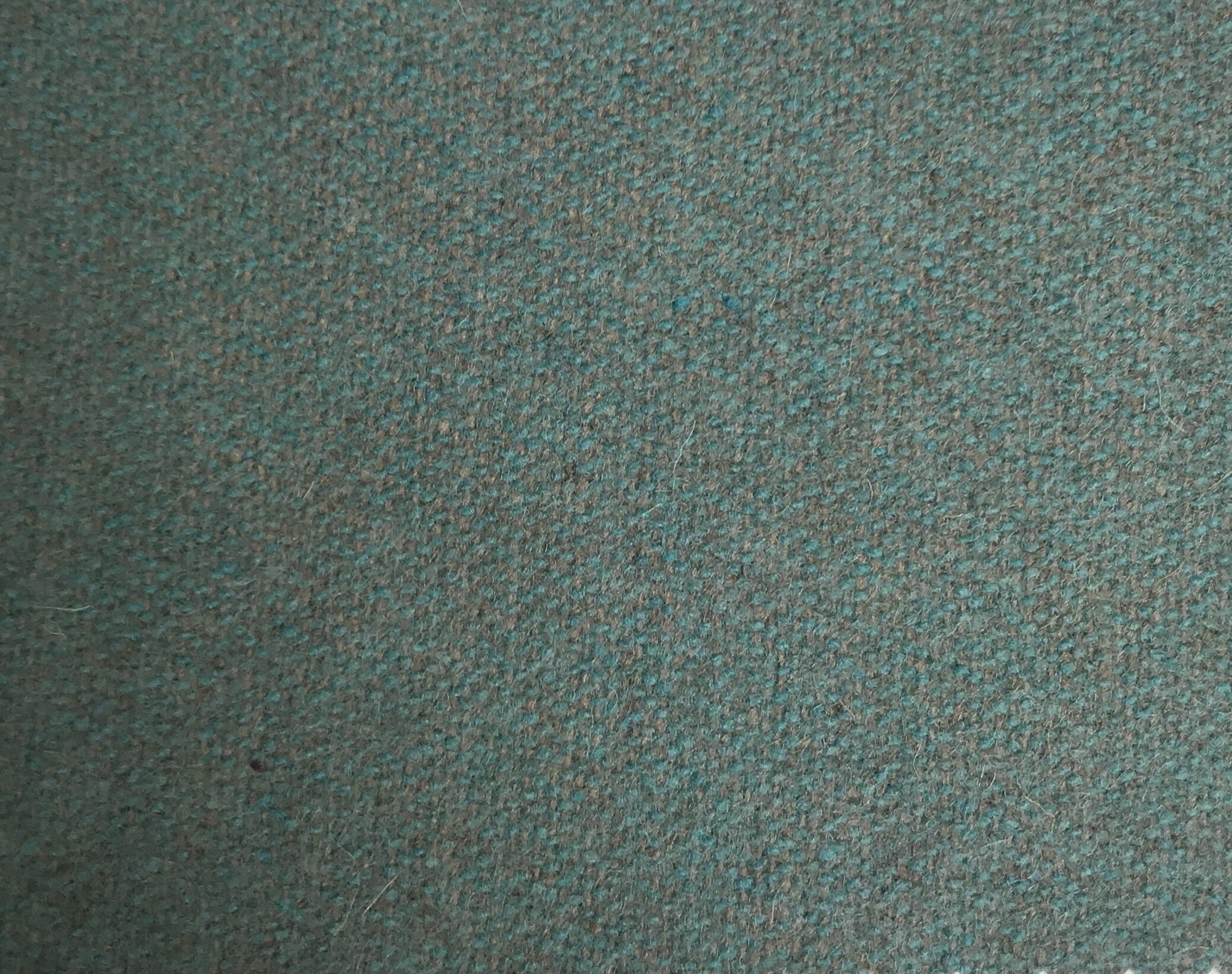 E392F896-1E28-41AB-A323-E9D7896D6E1C.jpeg