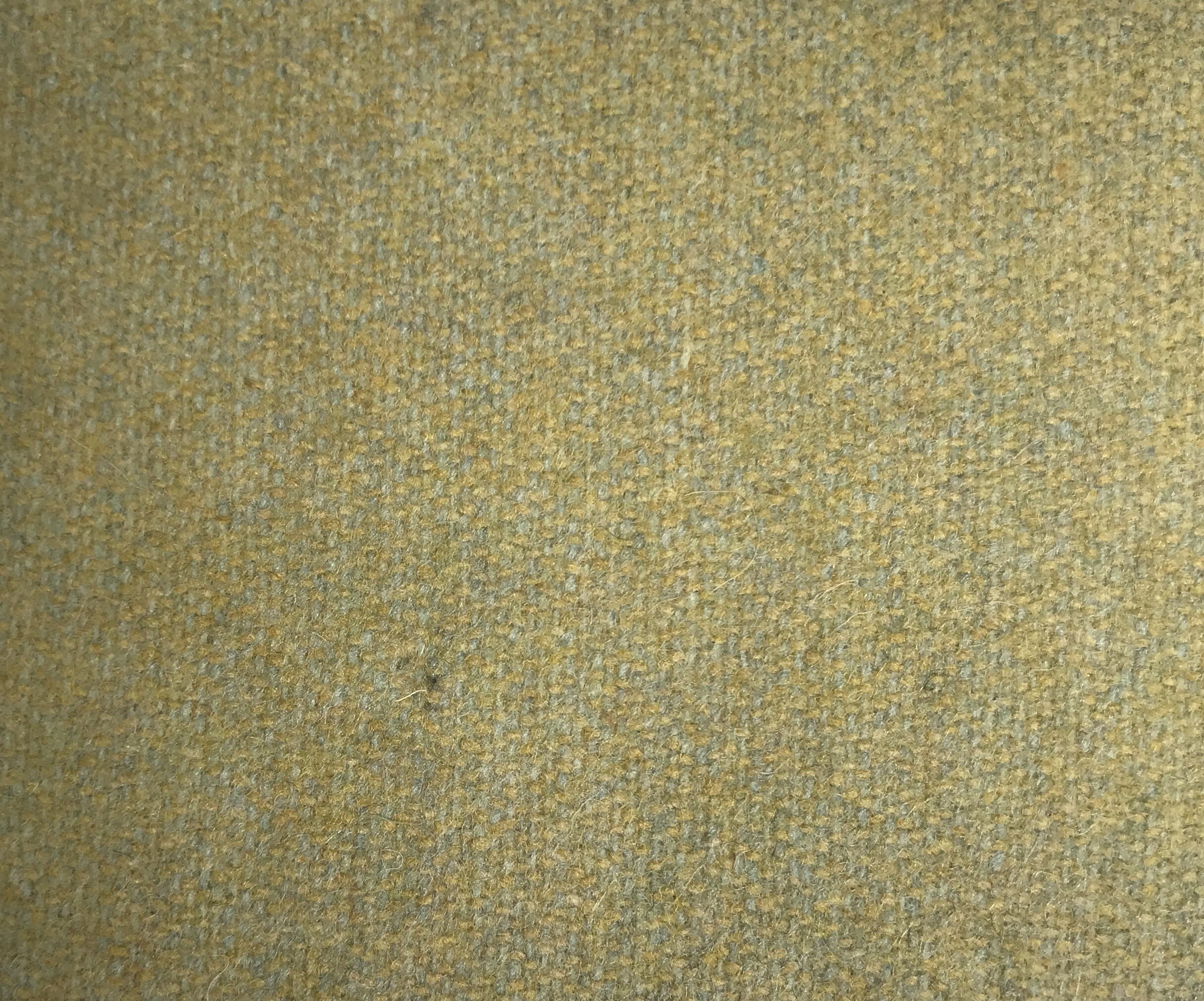 25D18451-9B28-4D39-A373-AB93B2C7D94C.jpeg