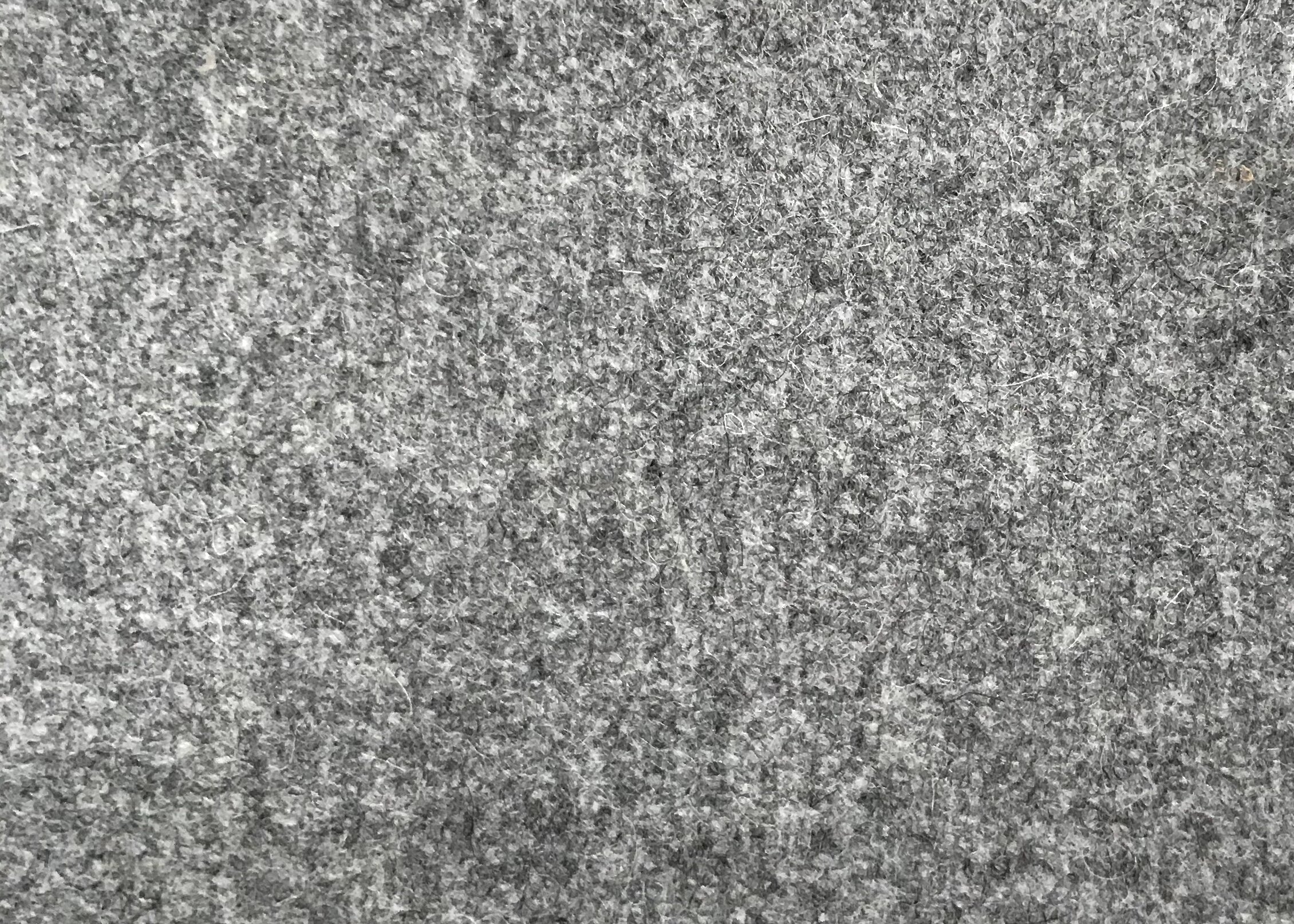E8D62C01-6BE2-40E7-9E51-133D24E9B065.jpeg