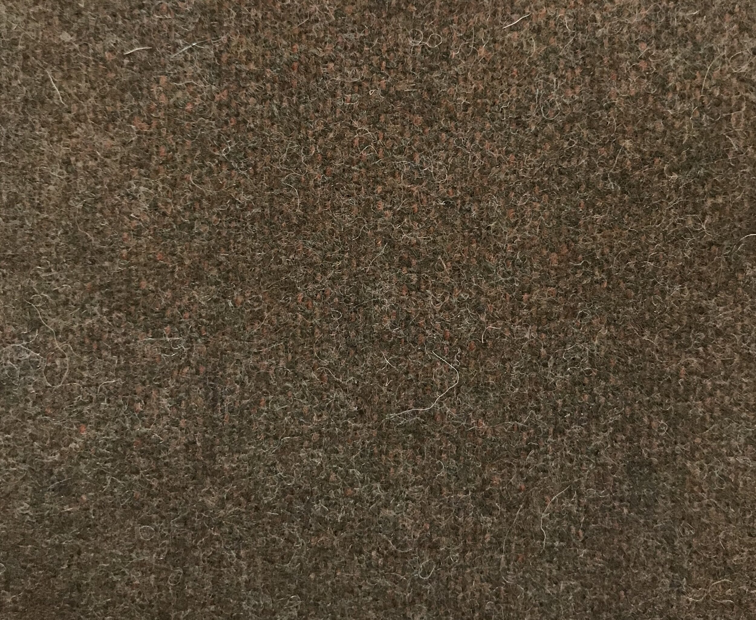 AFFD29D0-4F6B-48A7-AA9D-3A8996E72A0B.jpeg