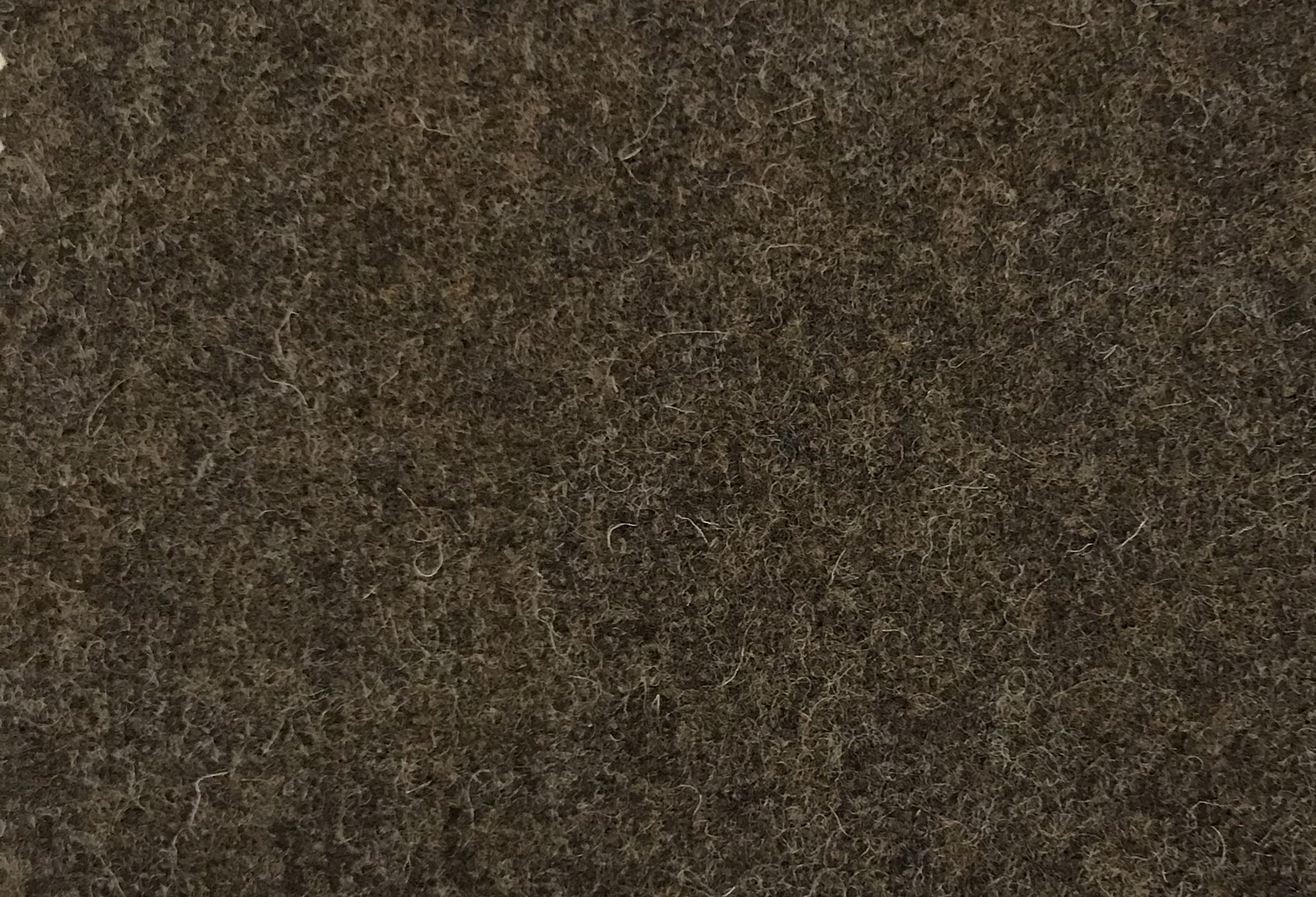 99937F5F-5082-4470-BD74-BE61C8259347.jpeg