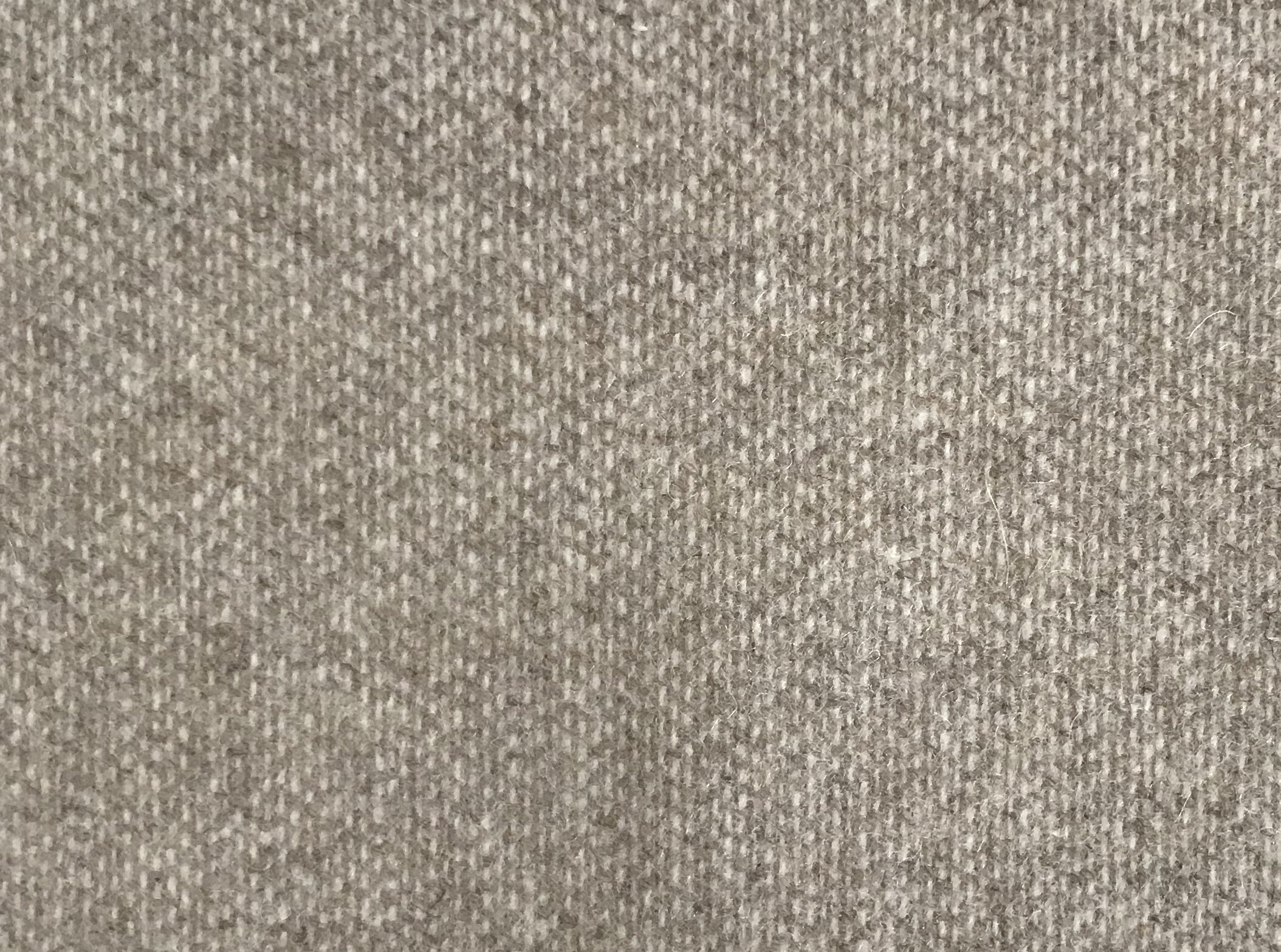 C6FE255D-1E72-4DED-A6AF-5DF8D2E55F9E.jpeg