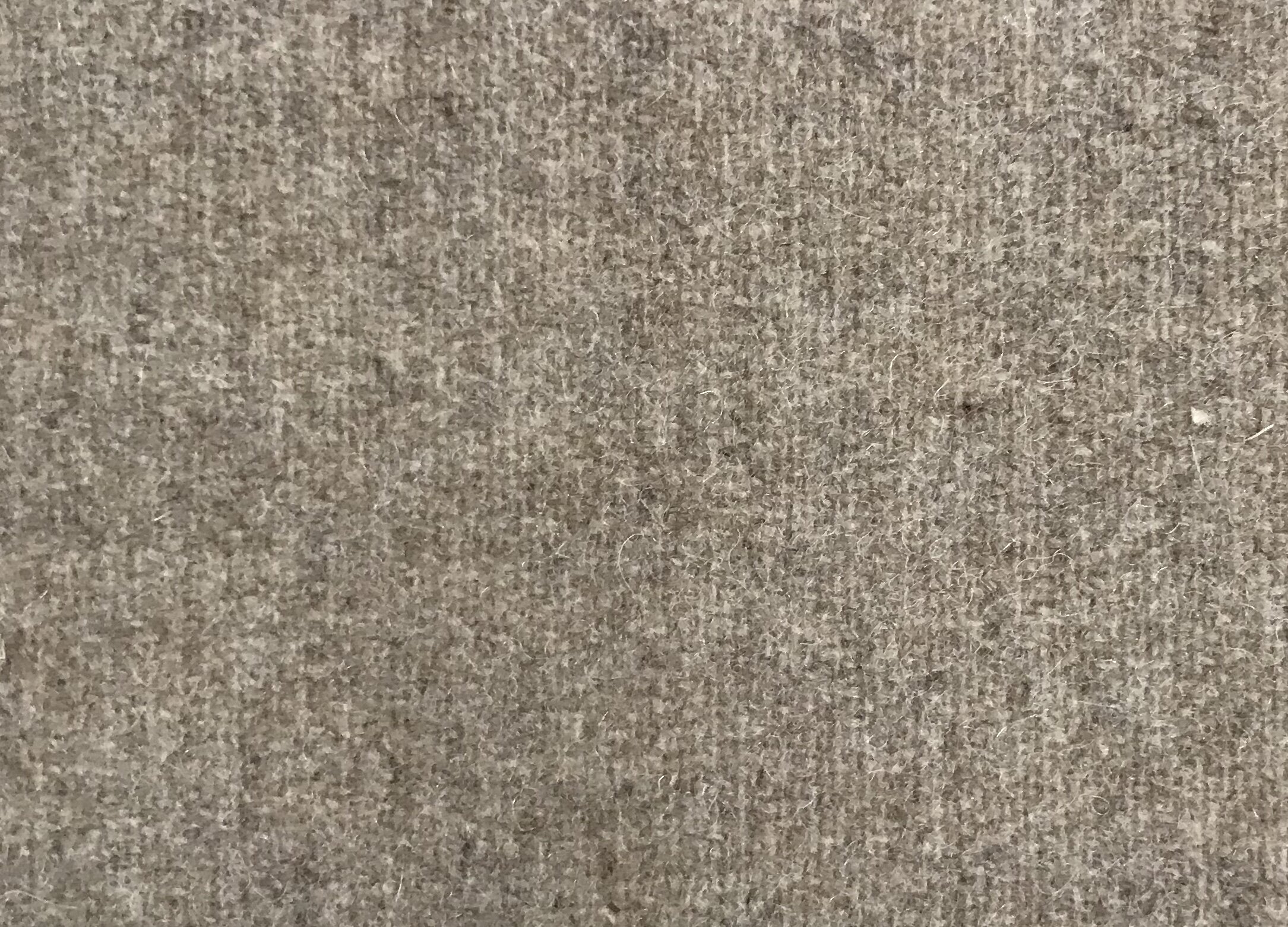 AD9088E5-0184-4CD0-A490-0B0330642C1F.jpeg