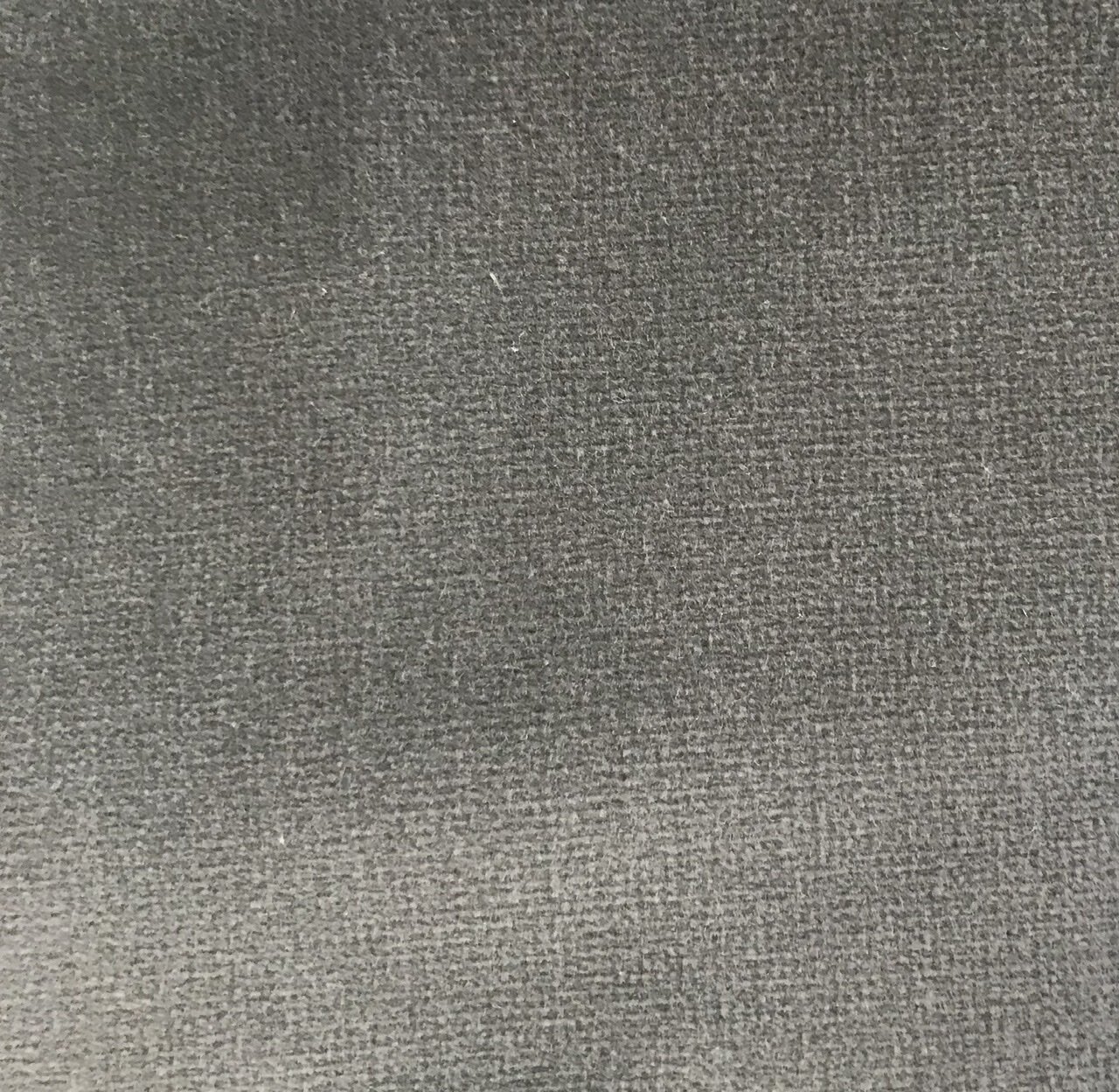 7725AA9B-429C-447B-BC22-B112B09BC8A5.jpeg