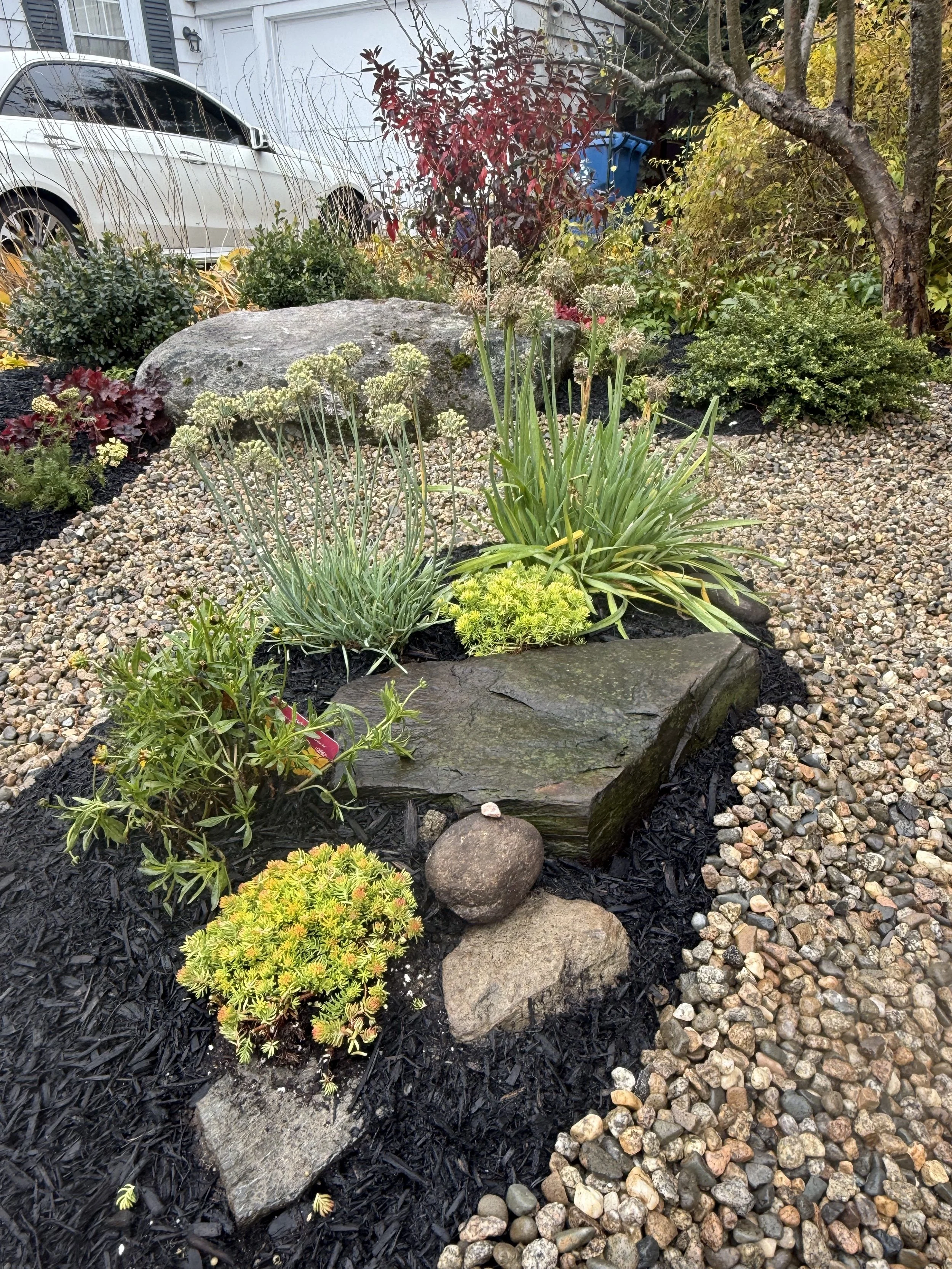 rockgarden river island.jpg