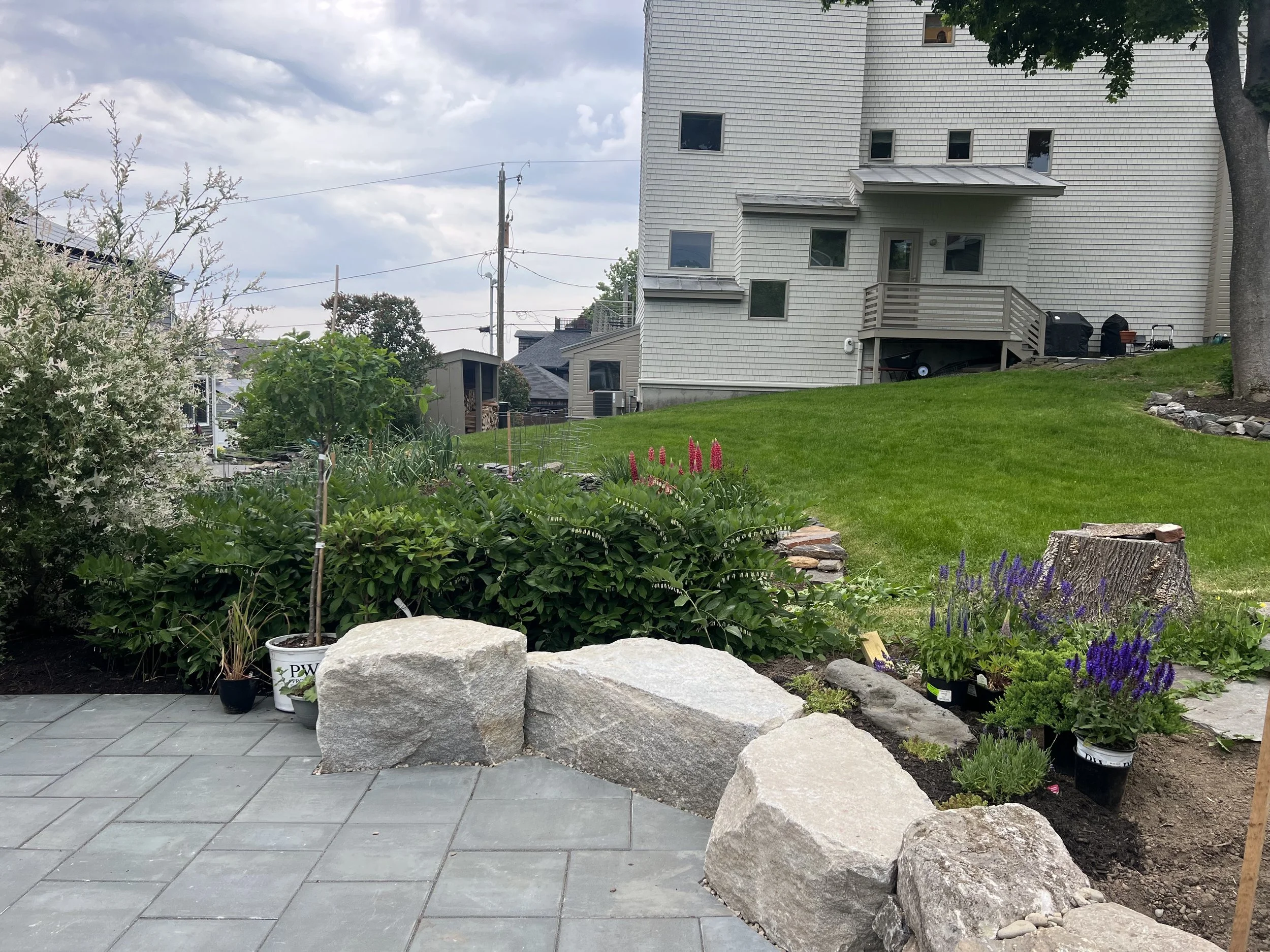 blocky patio garden.jpg
