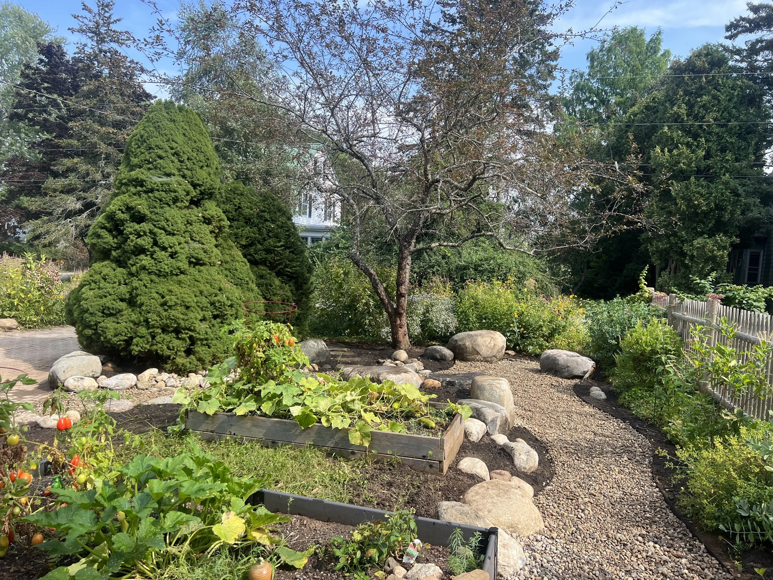 veggie garden magic.jpg