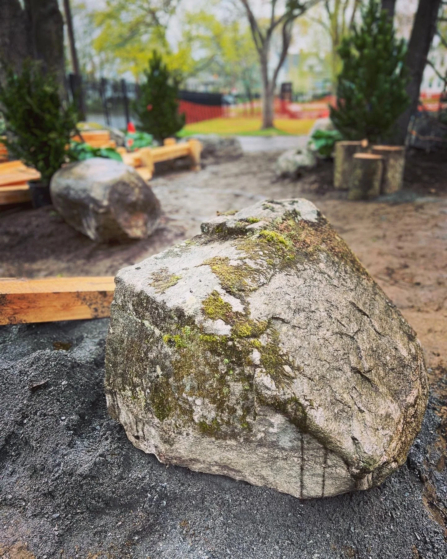 mossy boulder TBE.jpg