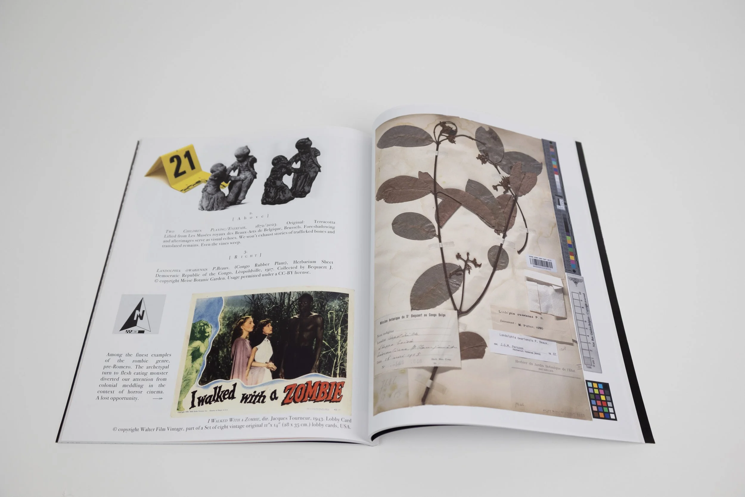 Lyndon Barrois Jr._Second-Story Artifacts 4.jpg