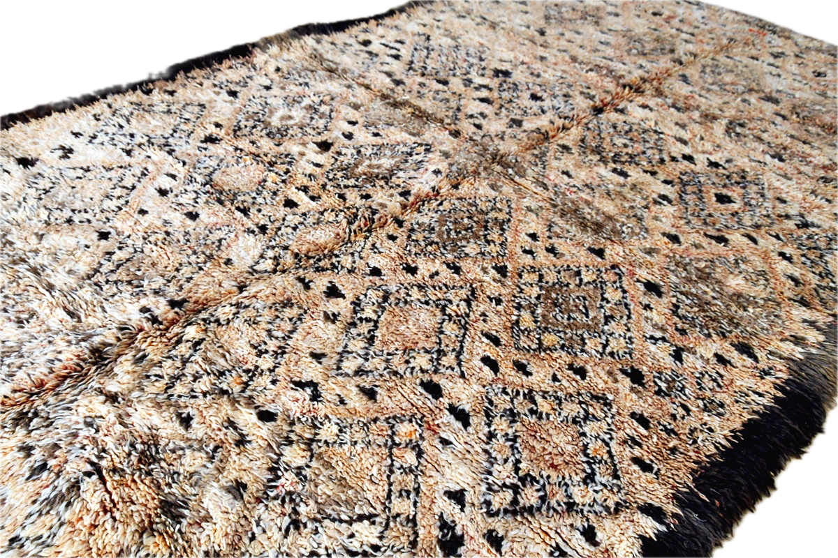 MMC 24-5 Background Removed.png