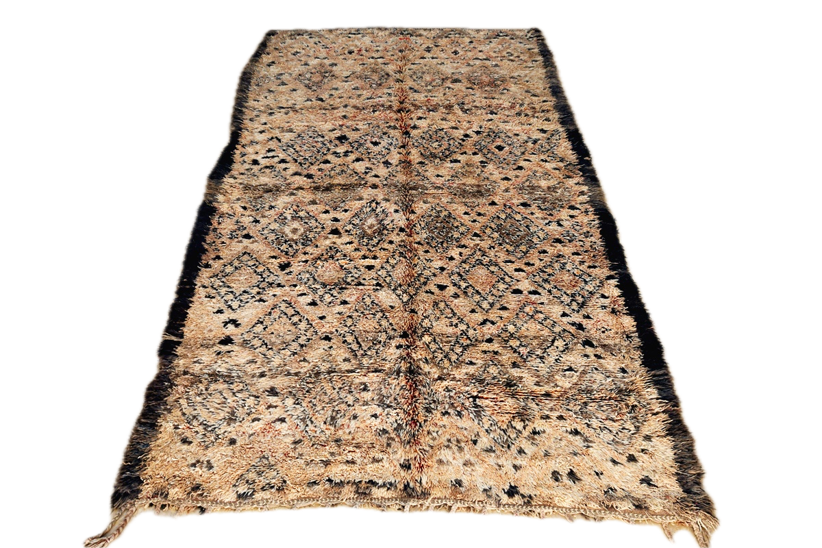 MMC 24-1 Background Removed.png