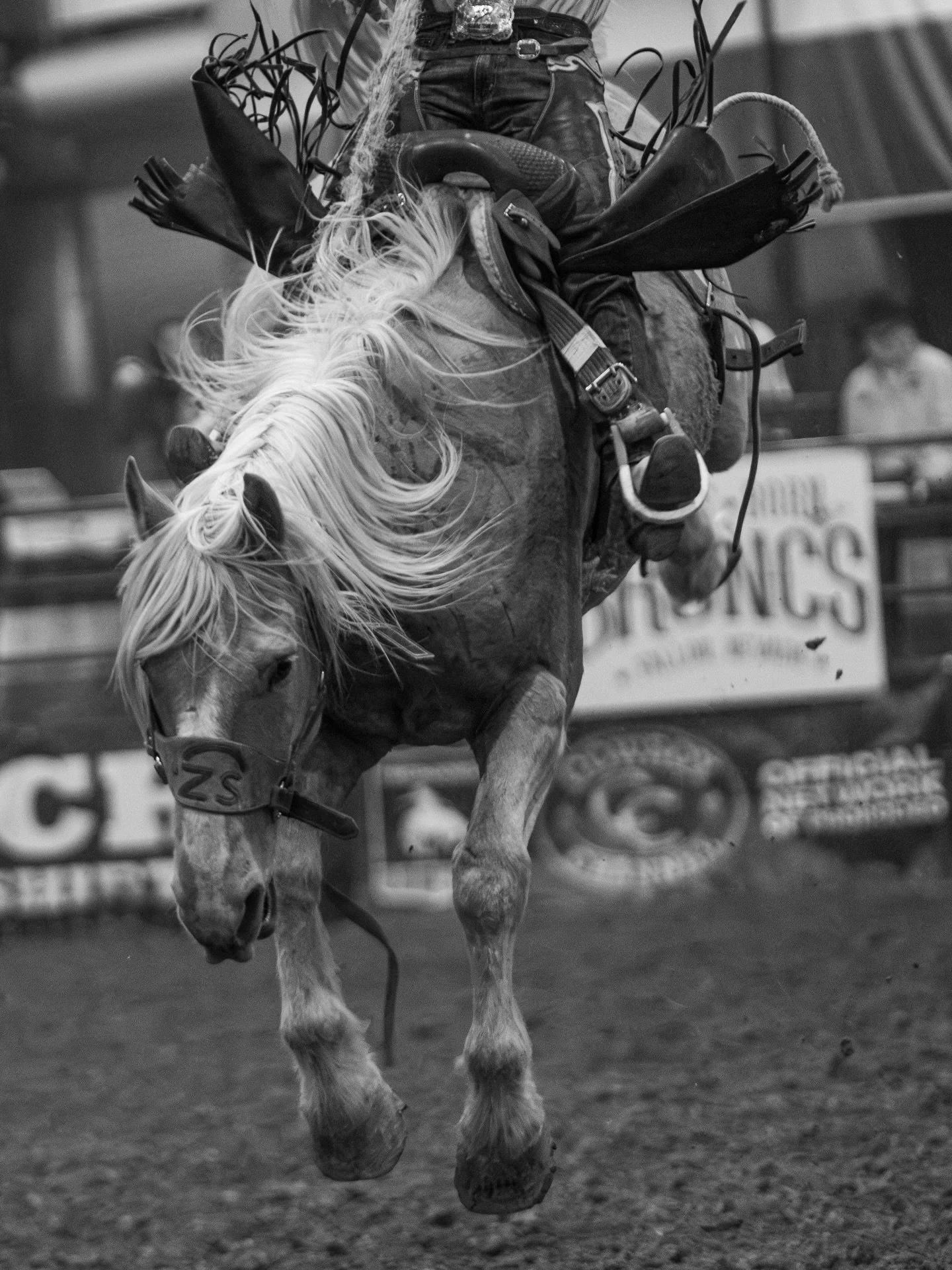 Many people don&rsquo;t know this about me, but I used to own a rodeo media company and shoot rodeos all over. Many also don&rsquo;t know that I&rsquo;m a lifelong rider, and always manage to find myself back where the horses are any time I can. 

It