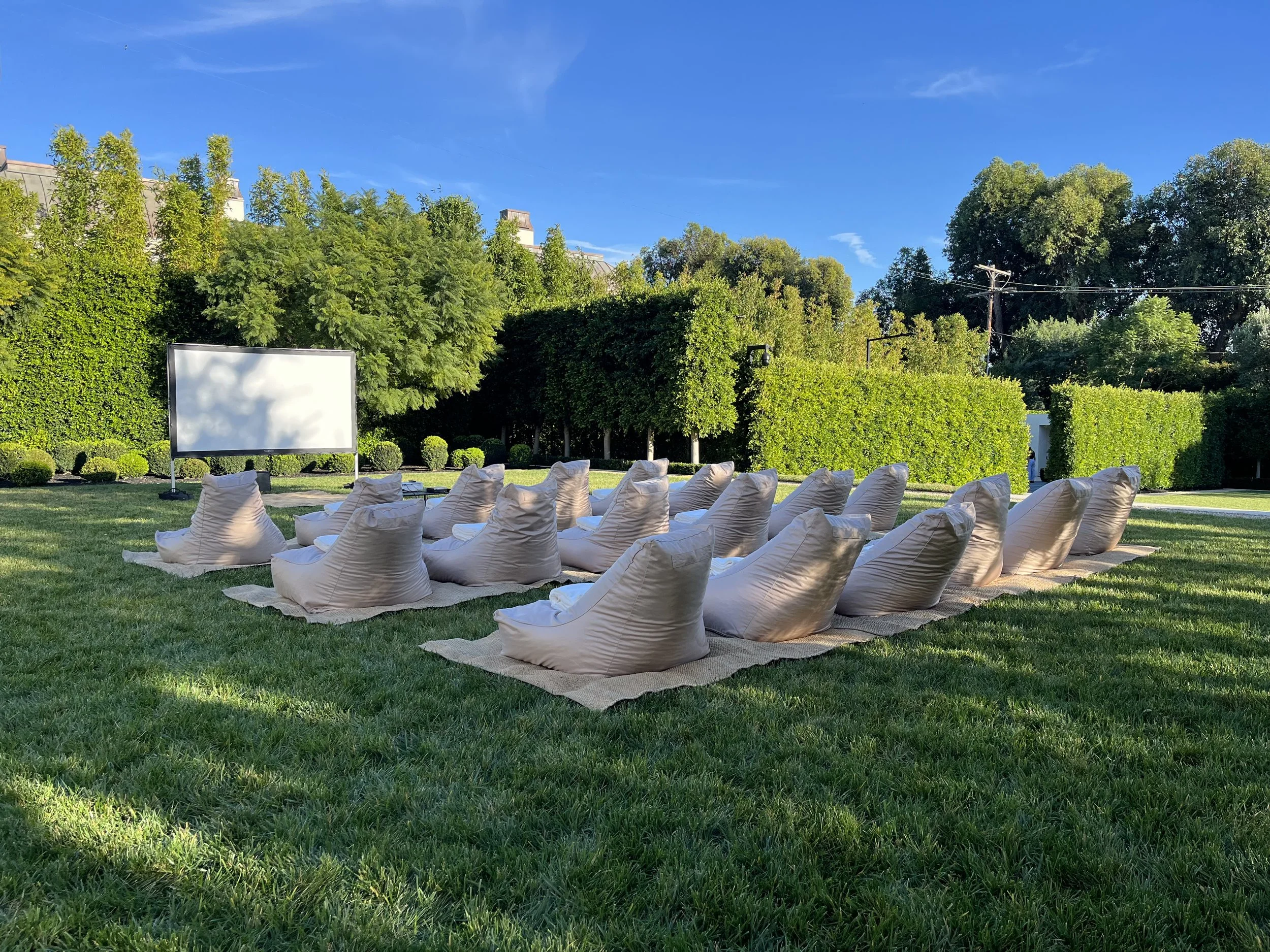 Backyard Movie Night