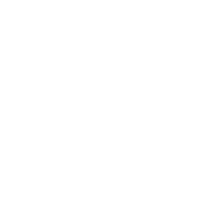 Executive Health Physical
