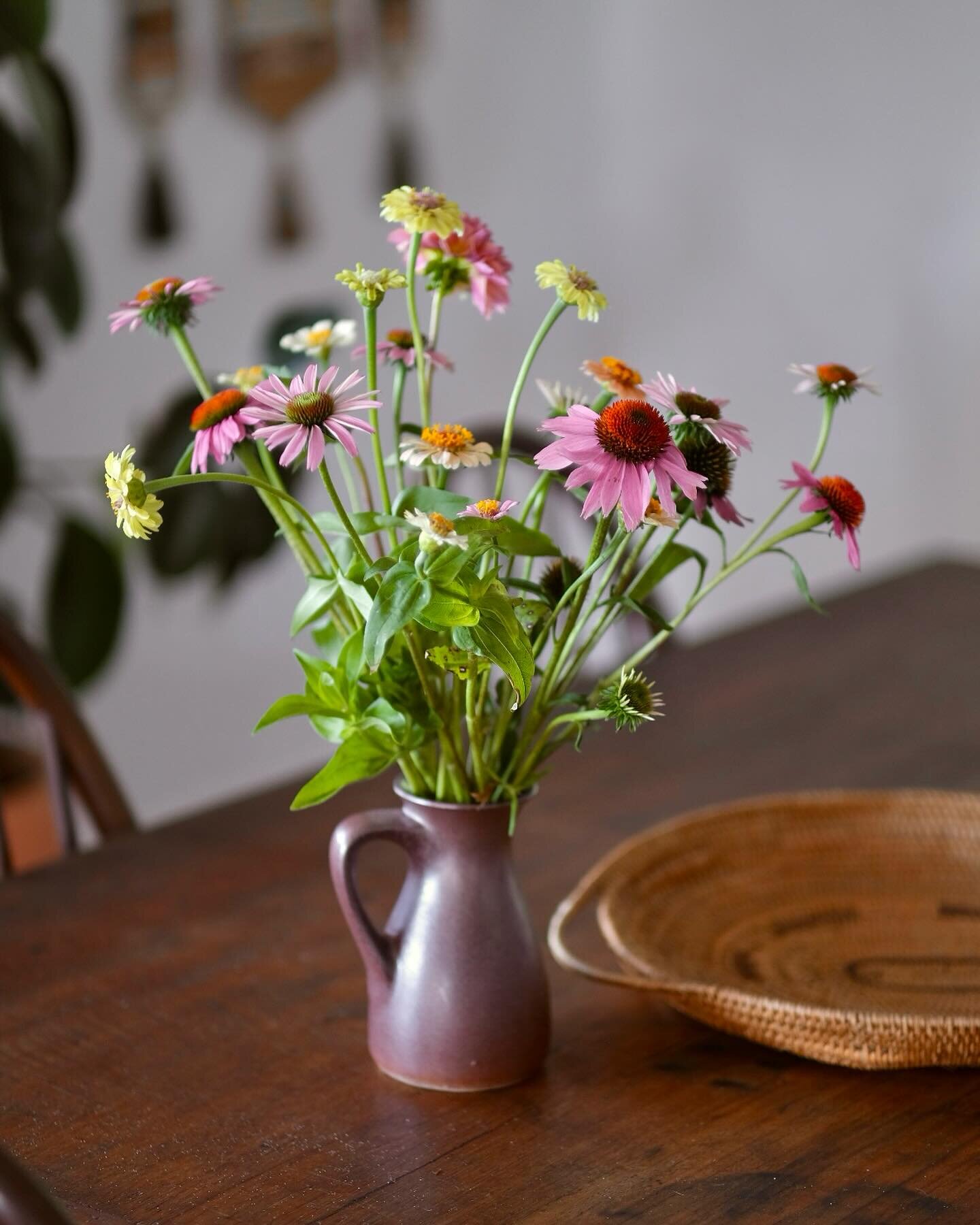 Most definitely fill your (new) house with rosy toned echinacea &amp; lime green zinnias, such a welcoming balm. 
&bull;
The last few years of life, I truly went Back- To- The- Land. 
&bull;
Living in such deep quiet, with so much spaciousness, where