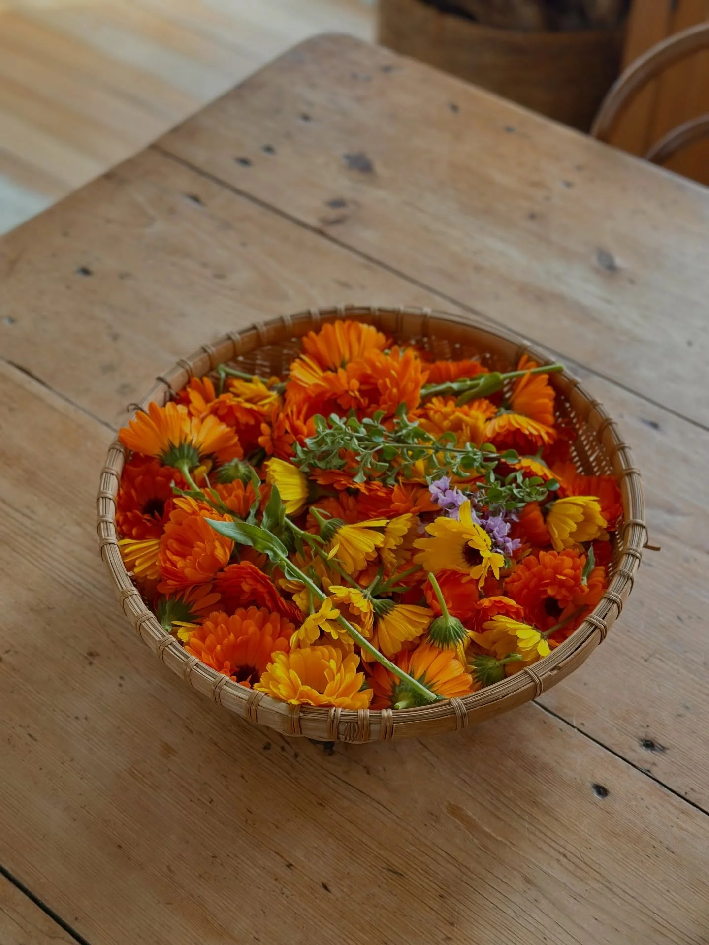 Back at the homestead 🌳
Everything that brings me happiness &amp; deserves an exclamation mark&hellip;&hellip;. 
Cue flowers!
Rainbows!
Sunsets! 
Cows! 
Cosy! 
Vintage gardening books! 
Ceramics! 
Home!