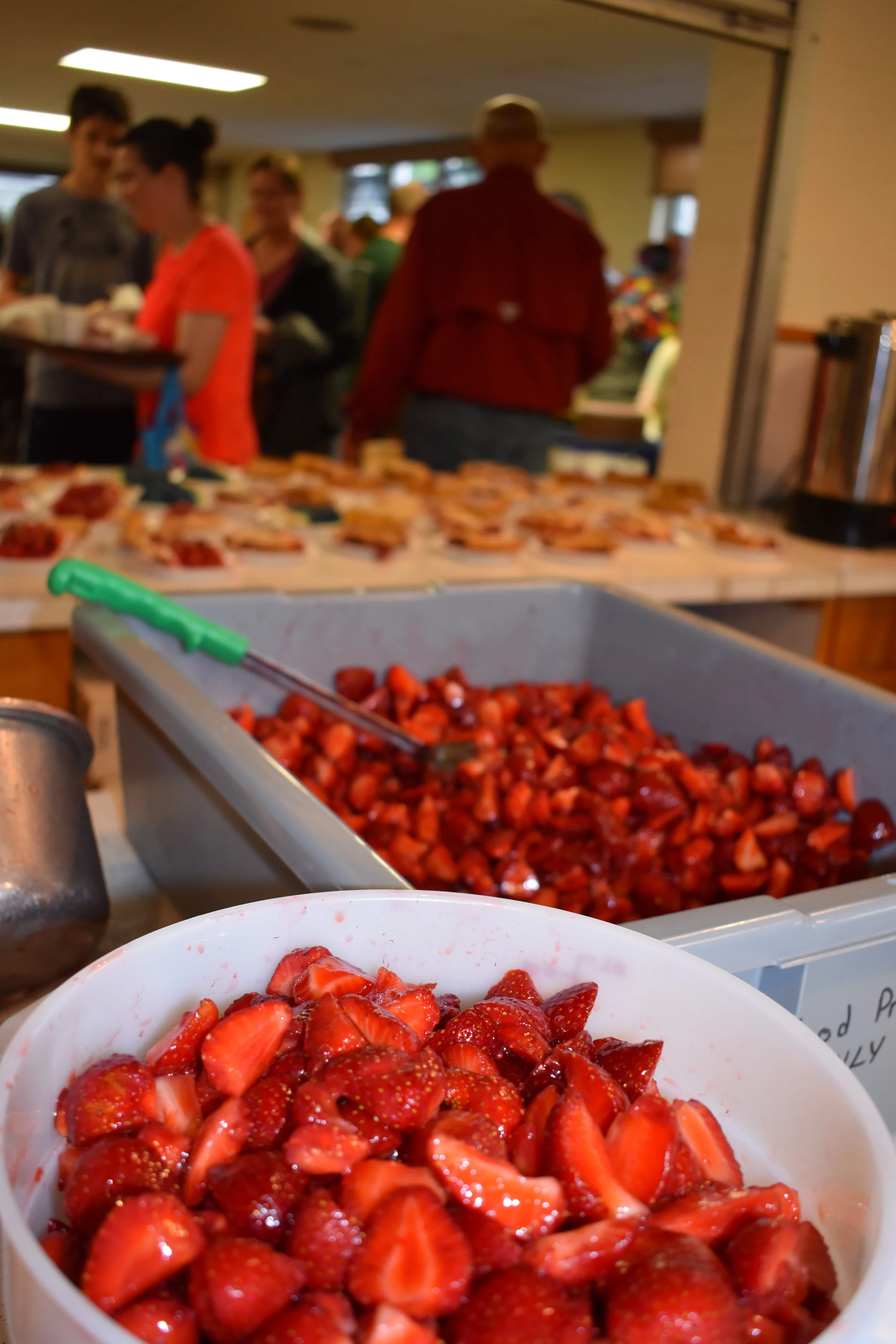 DSC_0949.jpg