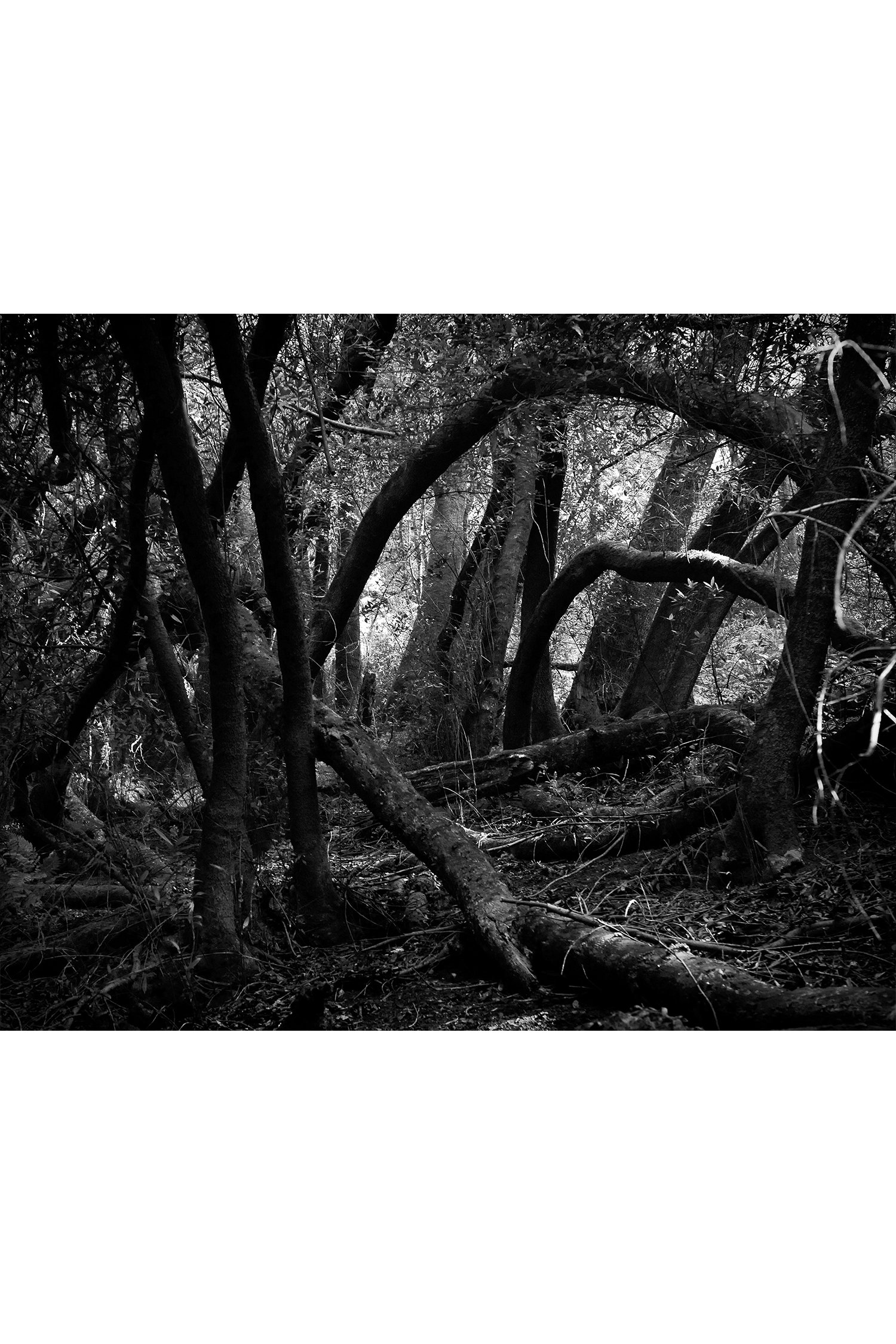 Arches-store.jpg
