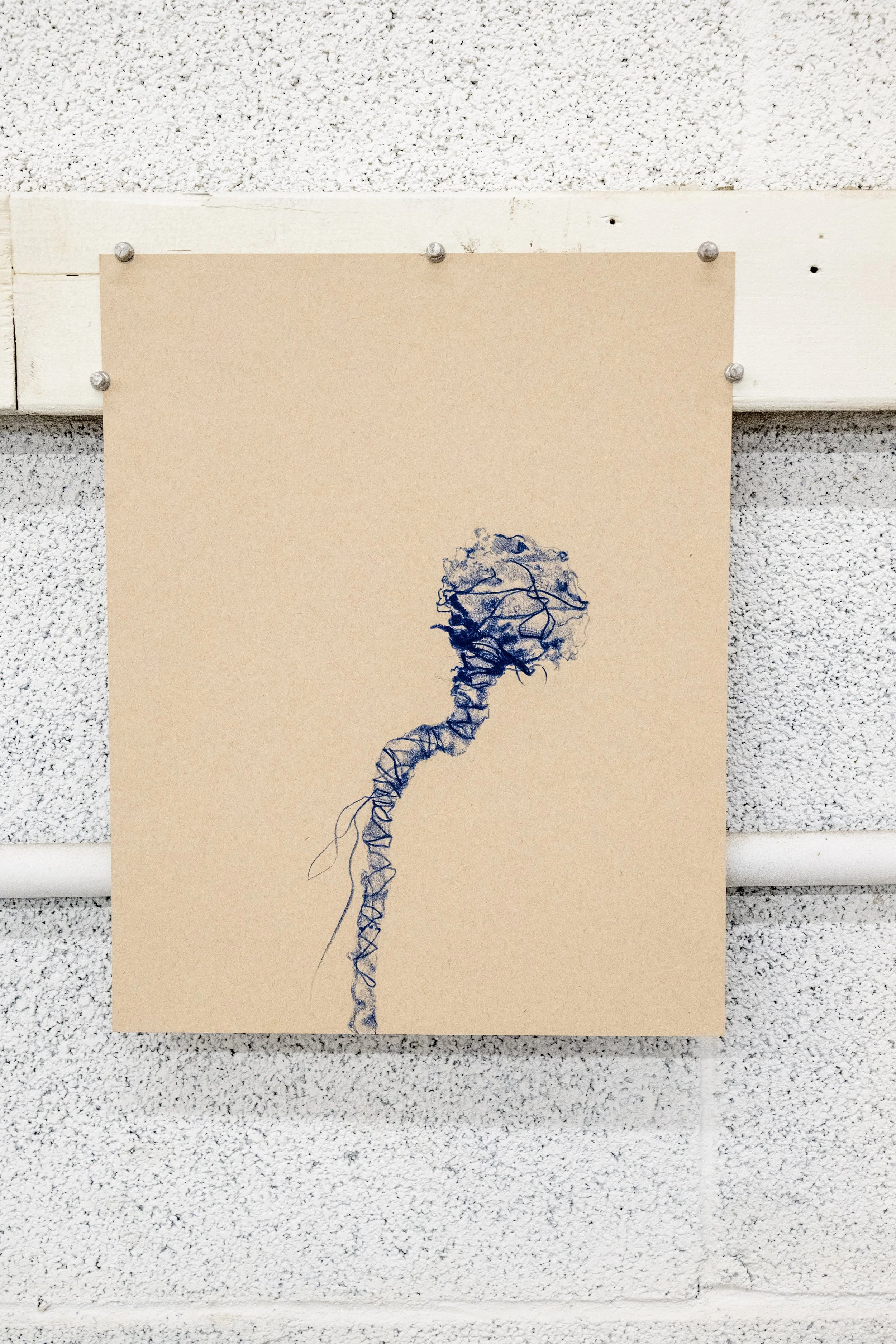 CAWE_Detail_2_16x10.jpg
