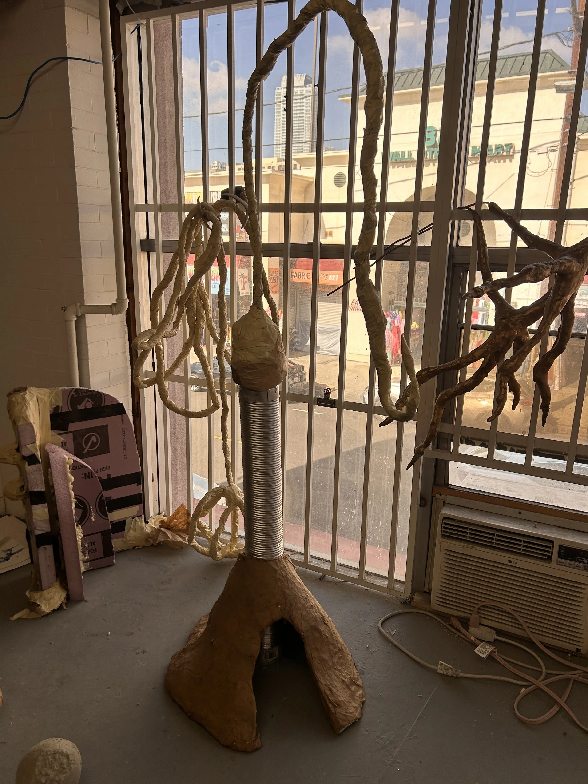 IMG_4804.jpeg