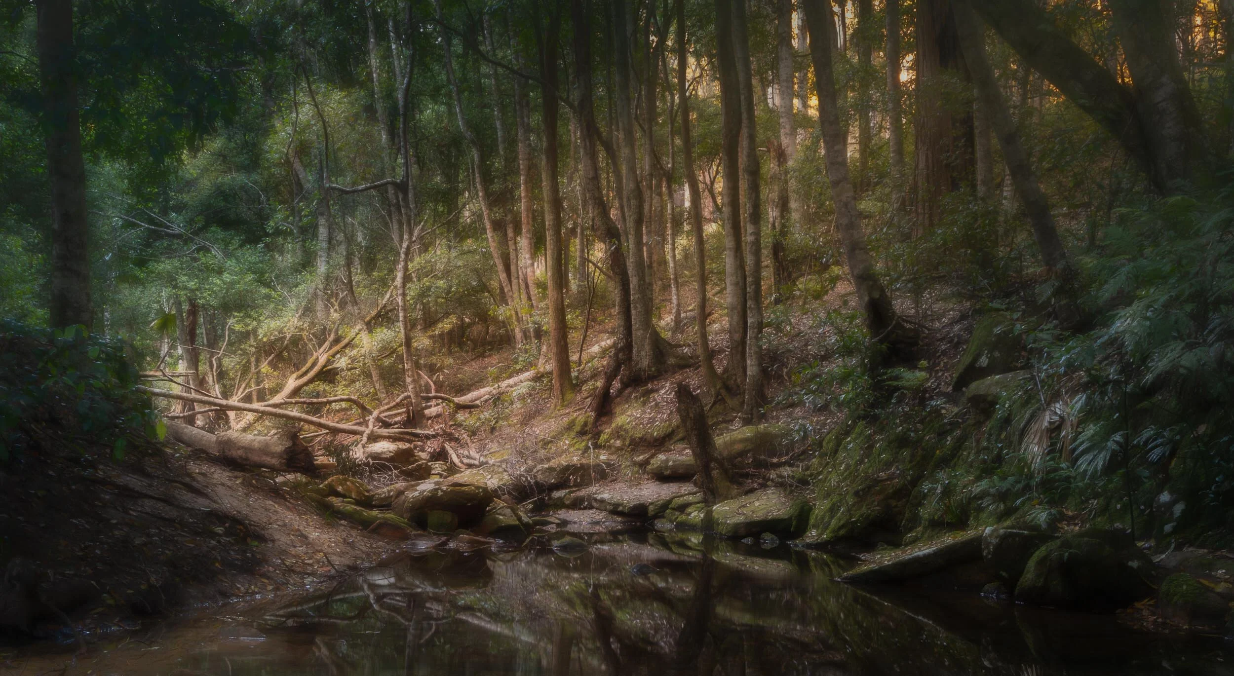 Twisted Deadfall