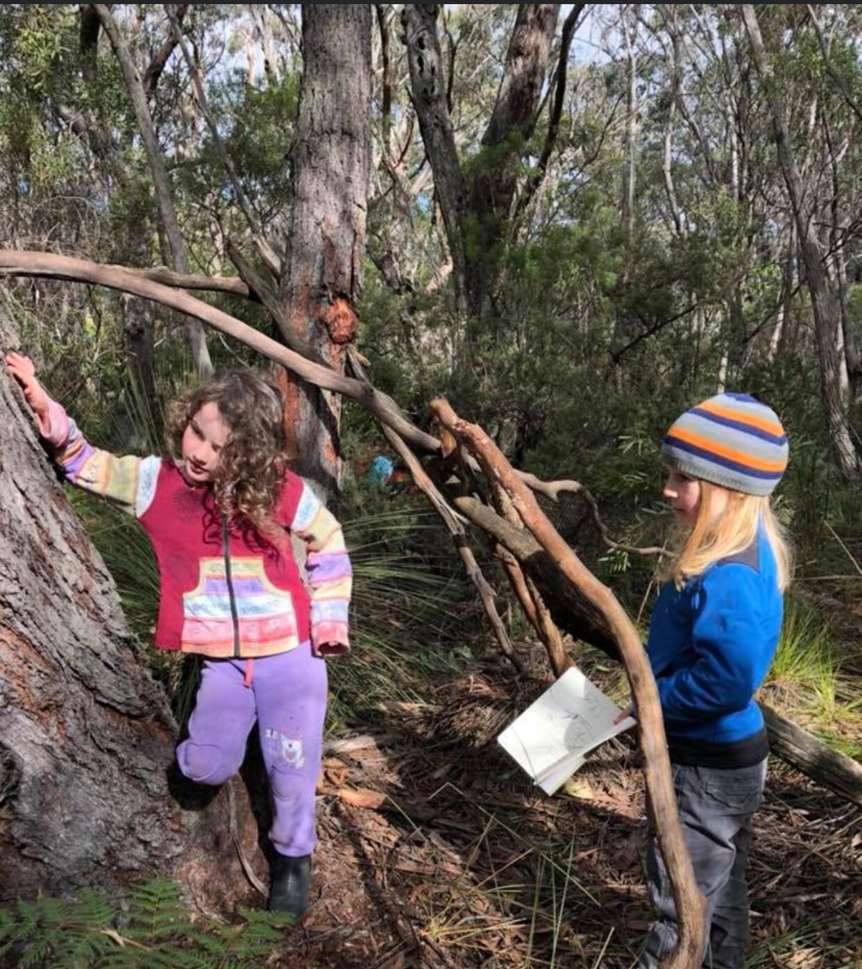 Wild Investigators: Living Things