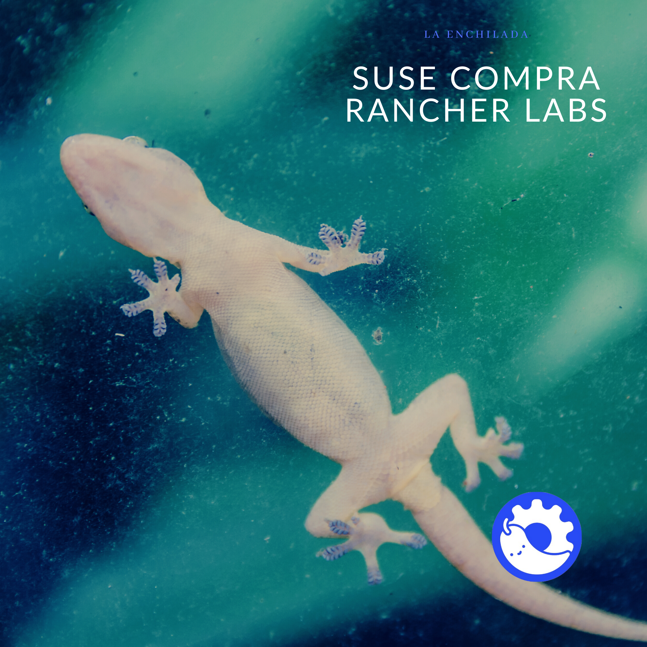 La guerra entre RedHat y SUSE continua, !SUSE compró Rancher Labs¡