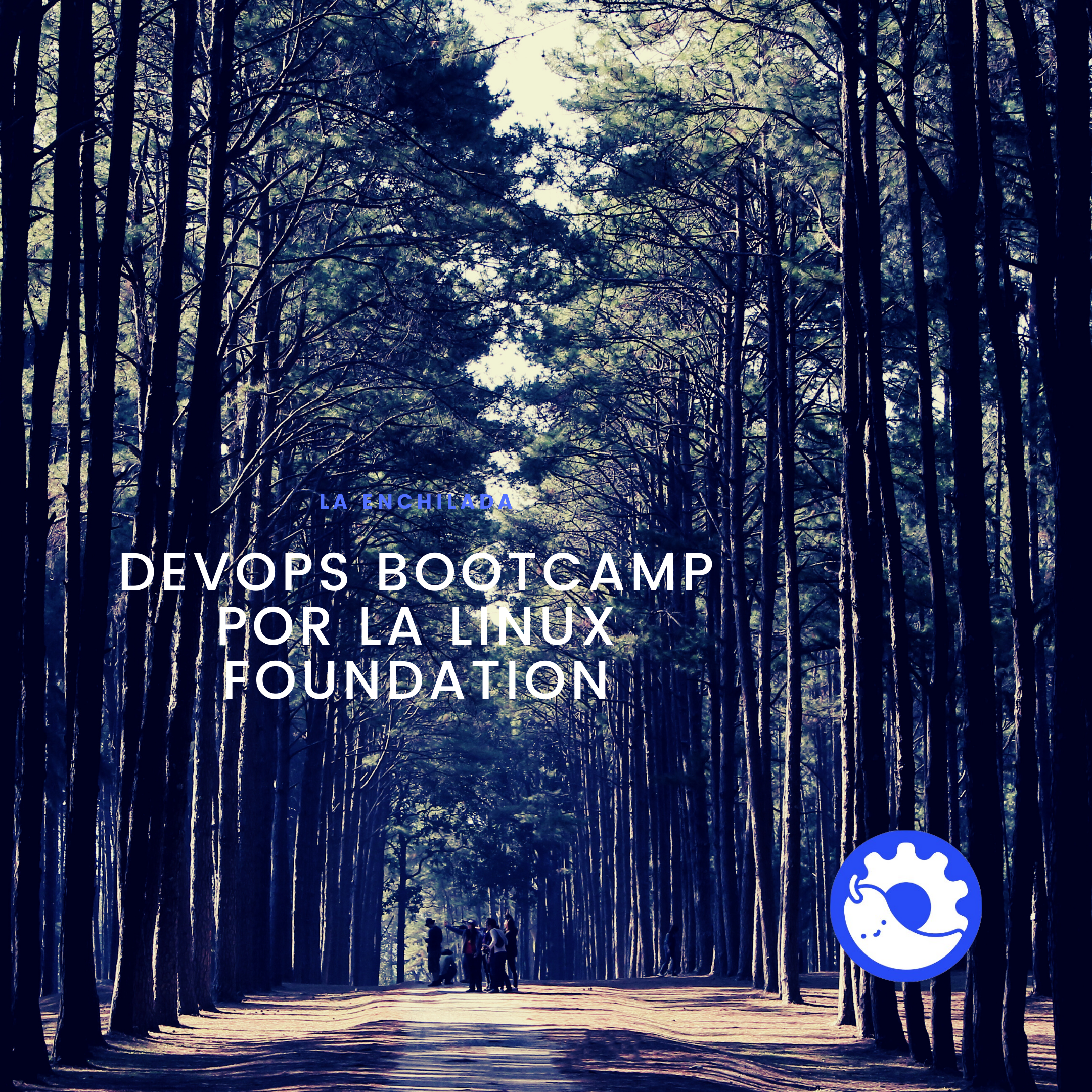 ¿Quieres dar el brinco a SRE y hacer DevOps y no sabes por dónde darle? Checate este bootcamp de la Linux Foundation