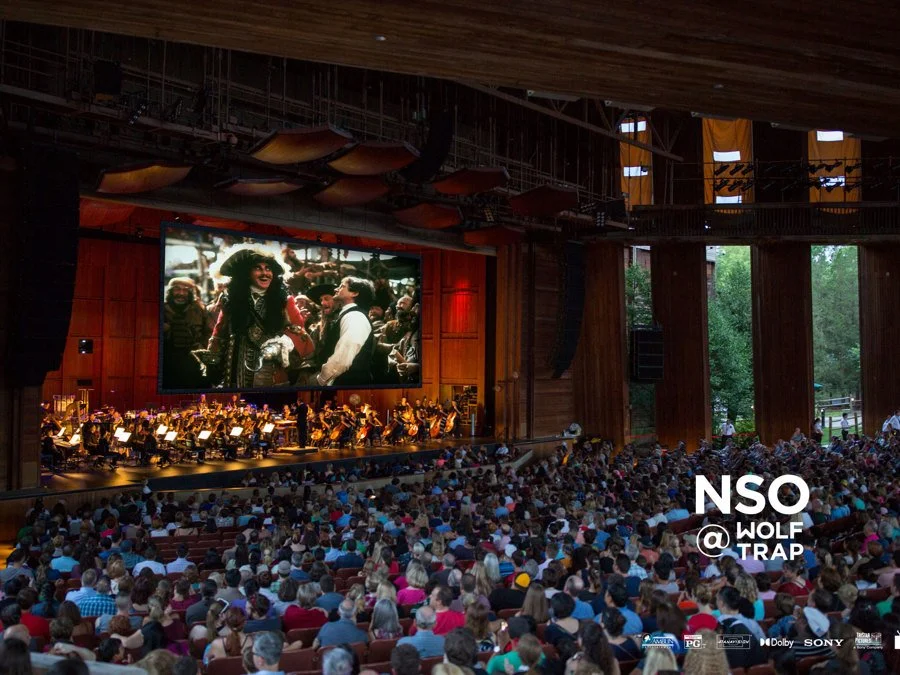 Hook in Concert w/ the National Symphony Orchestra
