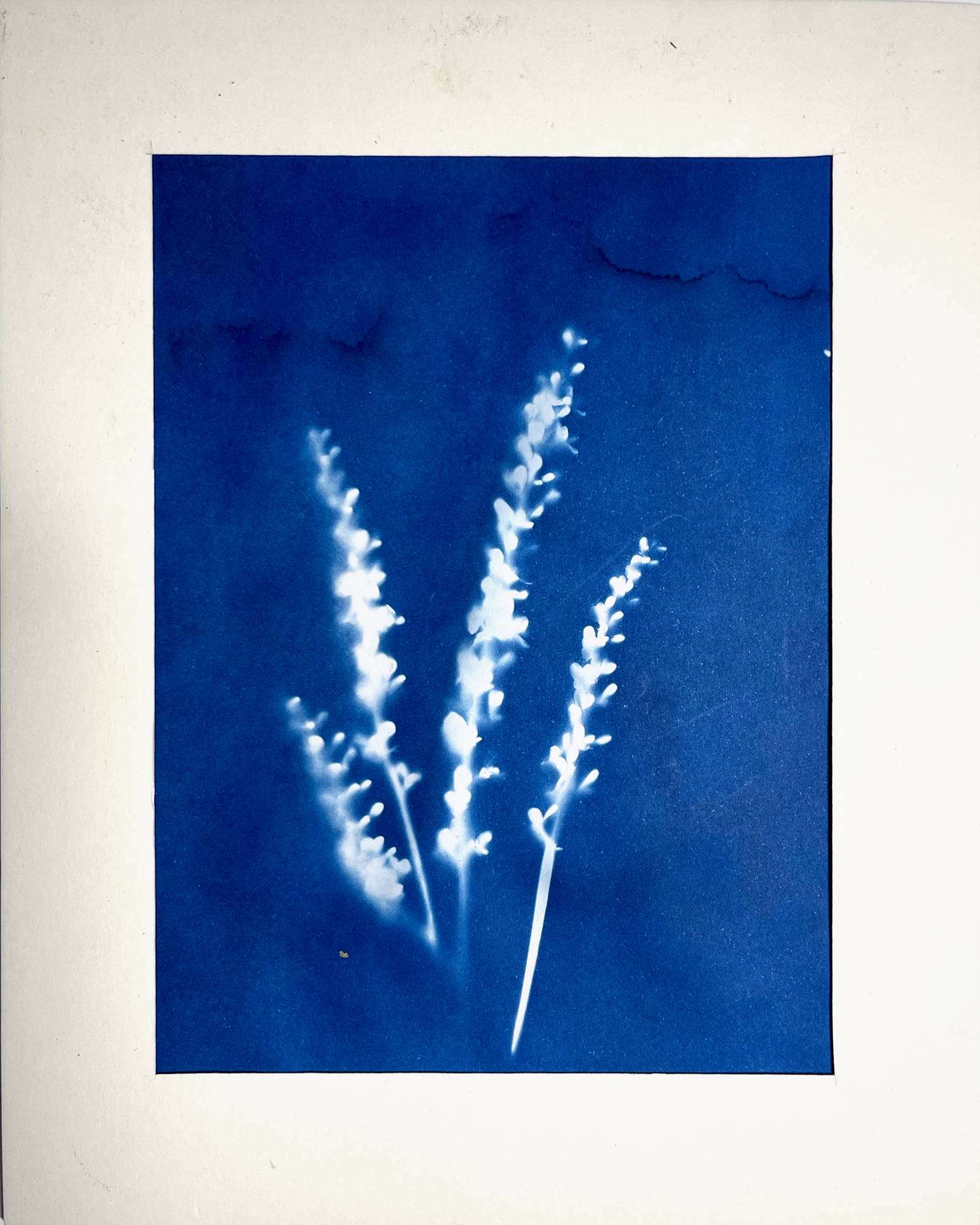 IMG_6512+2.png