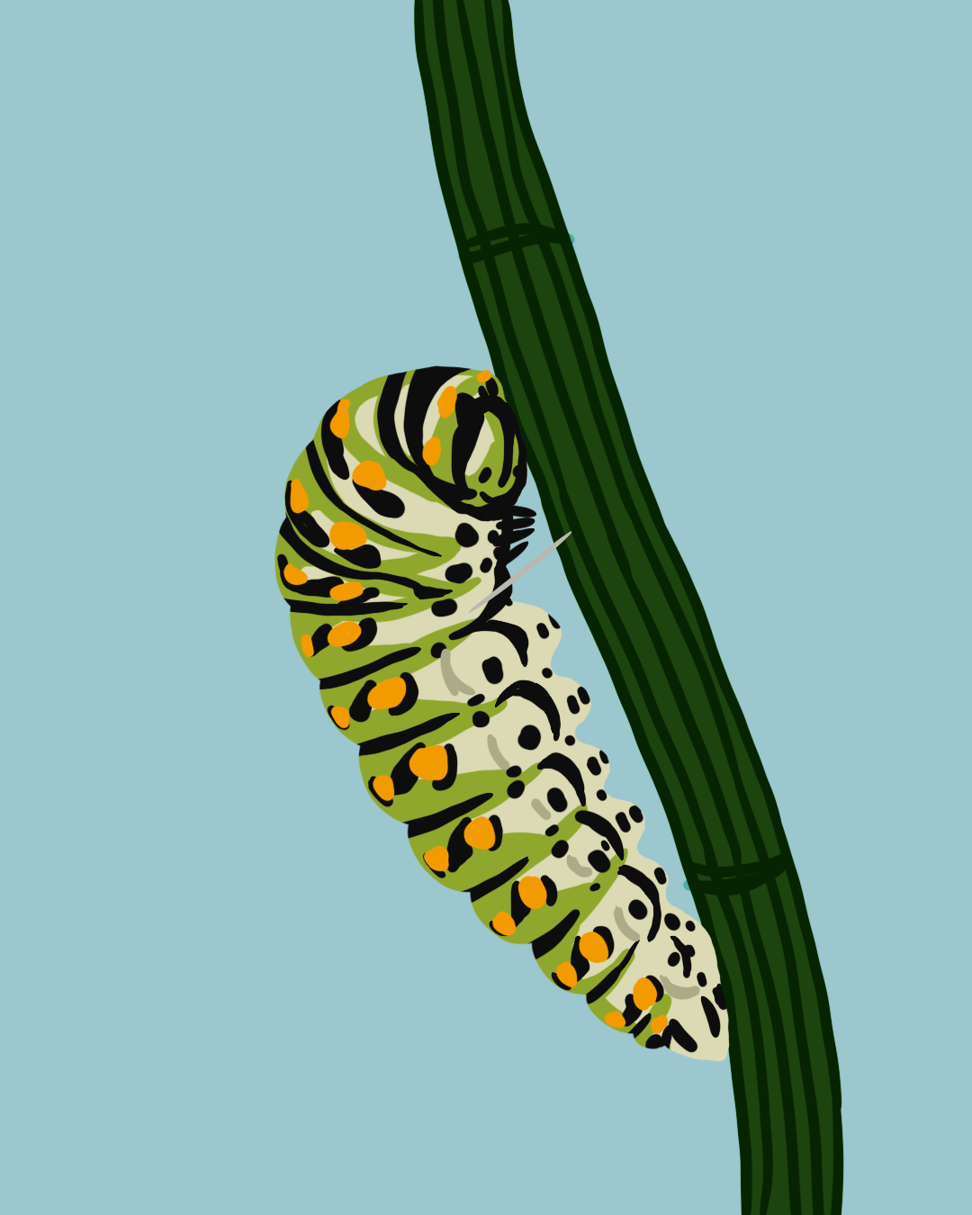 IMG_7518.png