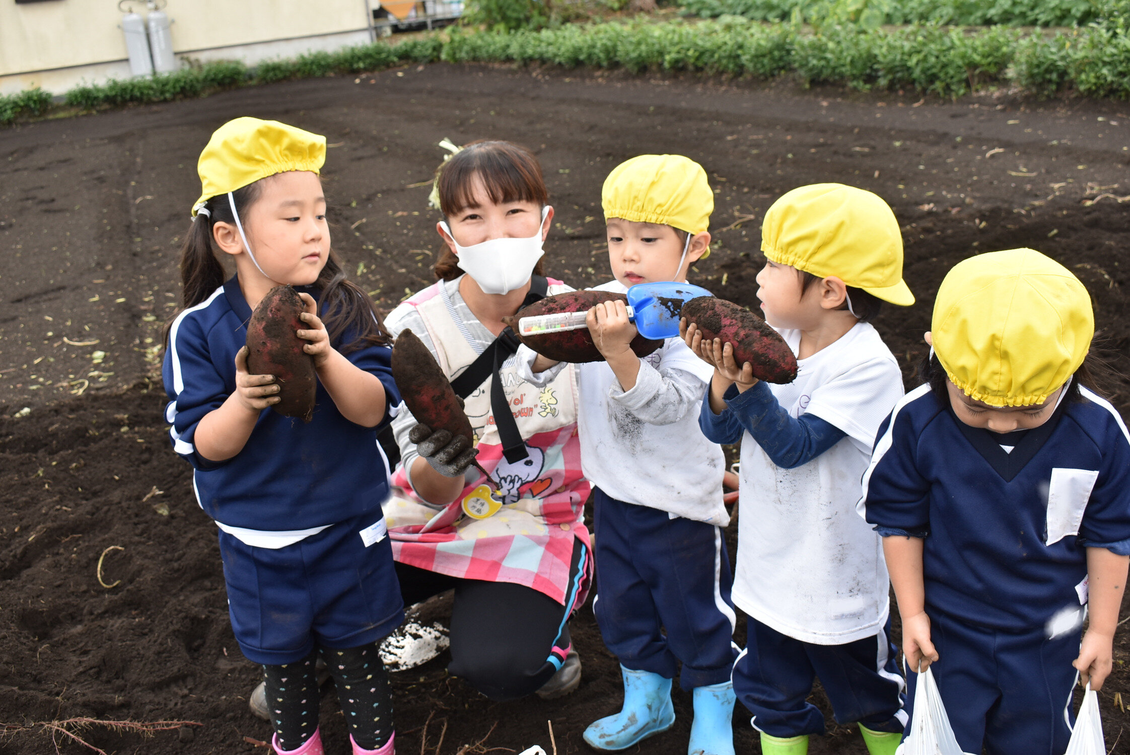 10/21　年少芋掘り