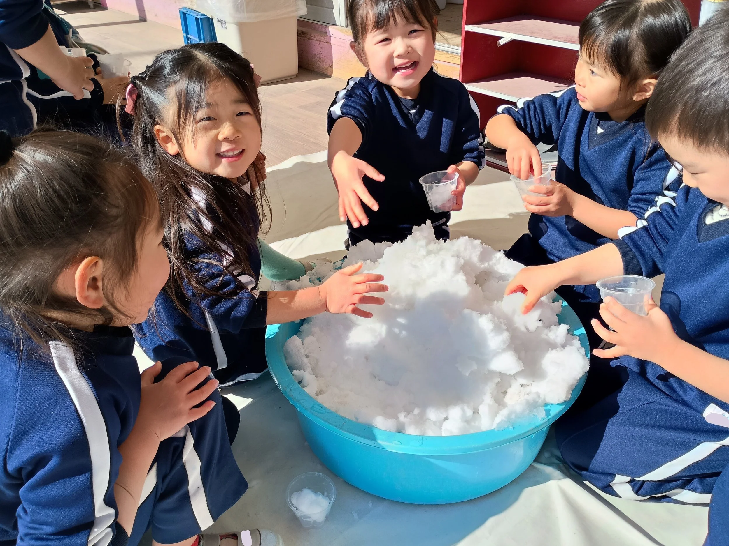 2/9 積雪の為自由降園