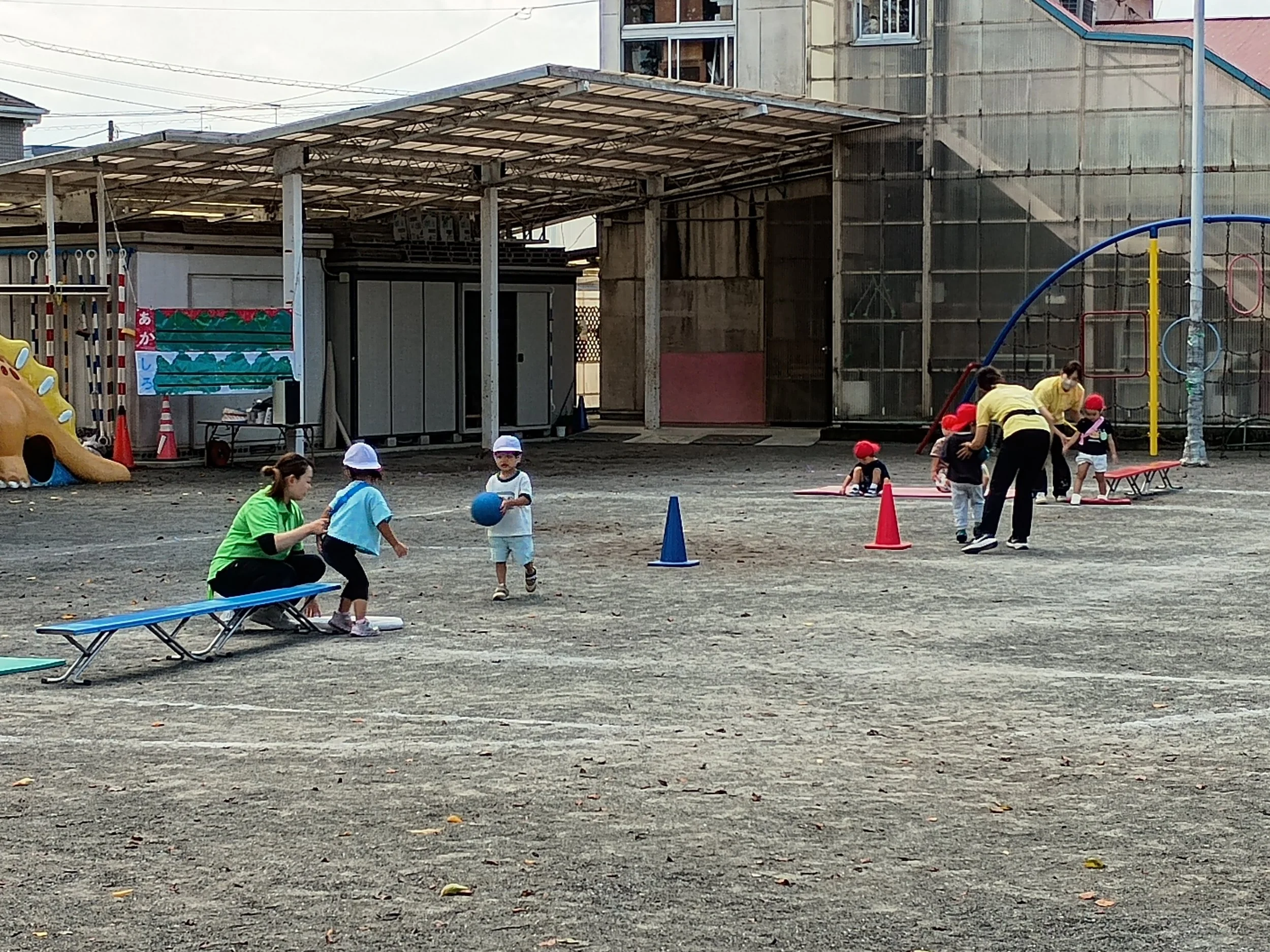 IMG_20260925_105618651.jpg