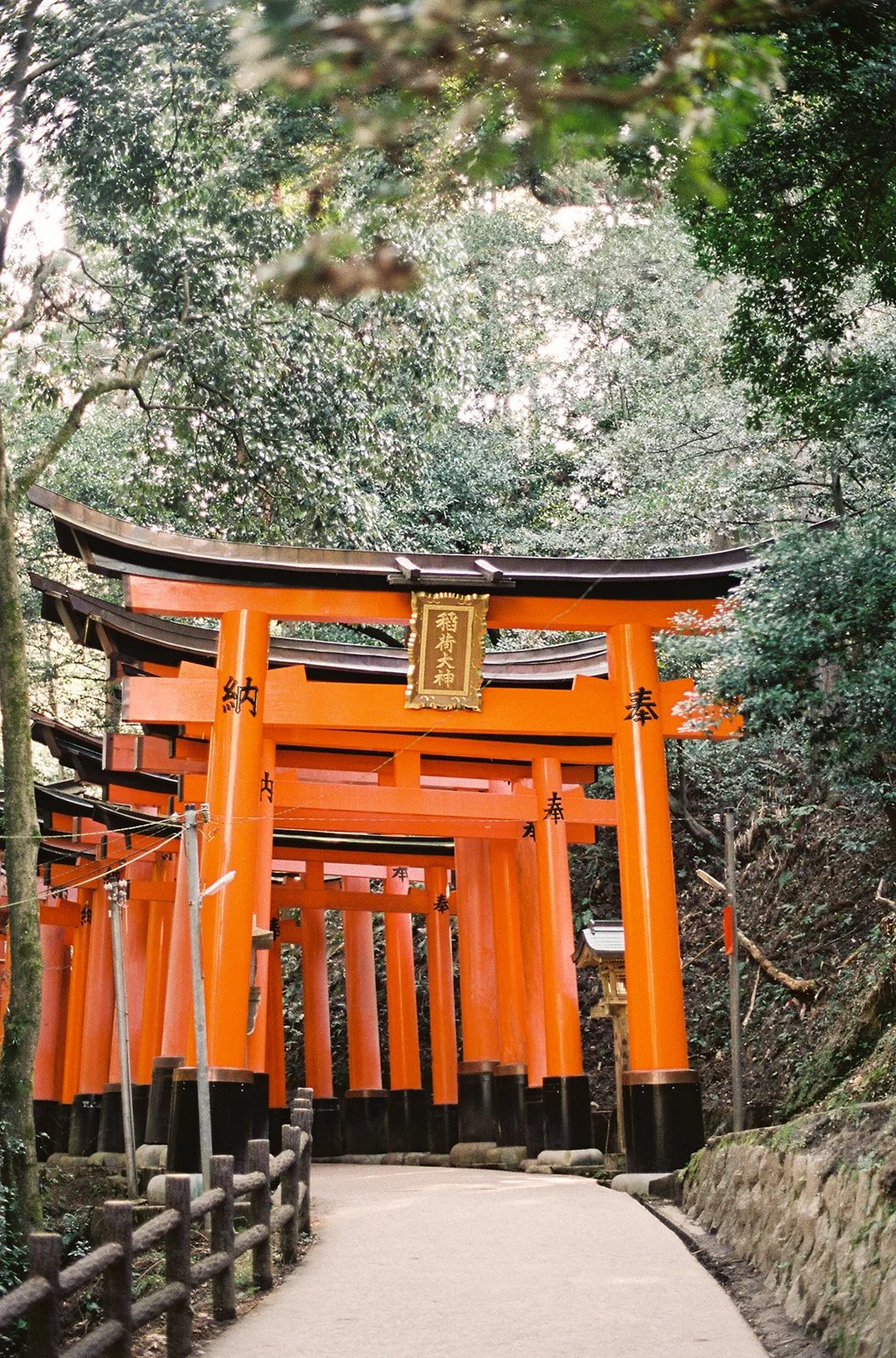 Japan Travel Guide: Kyoto