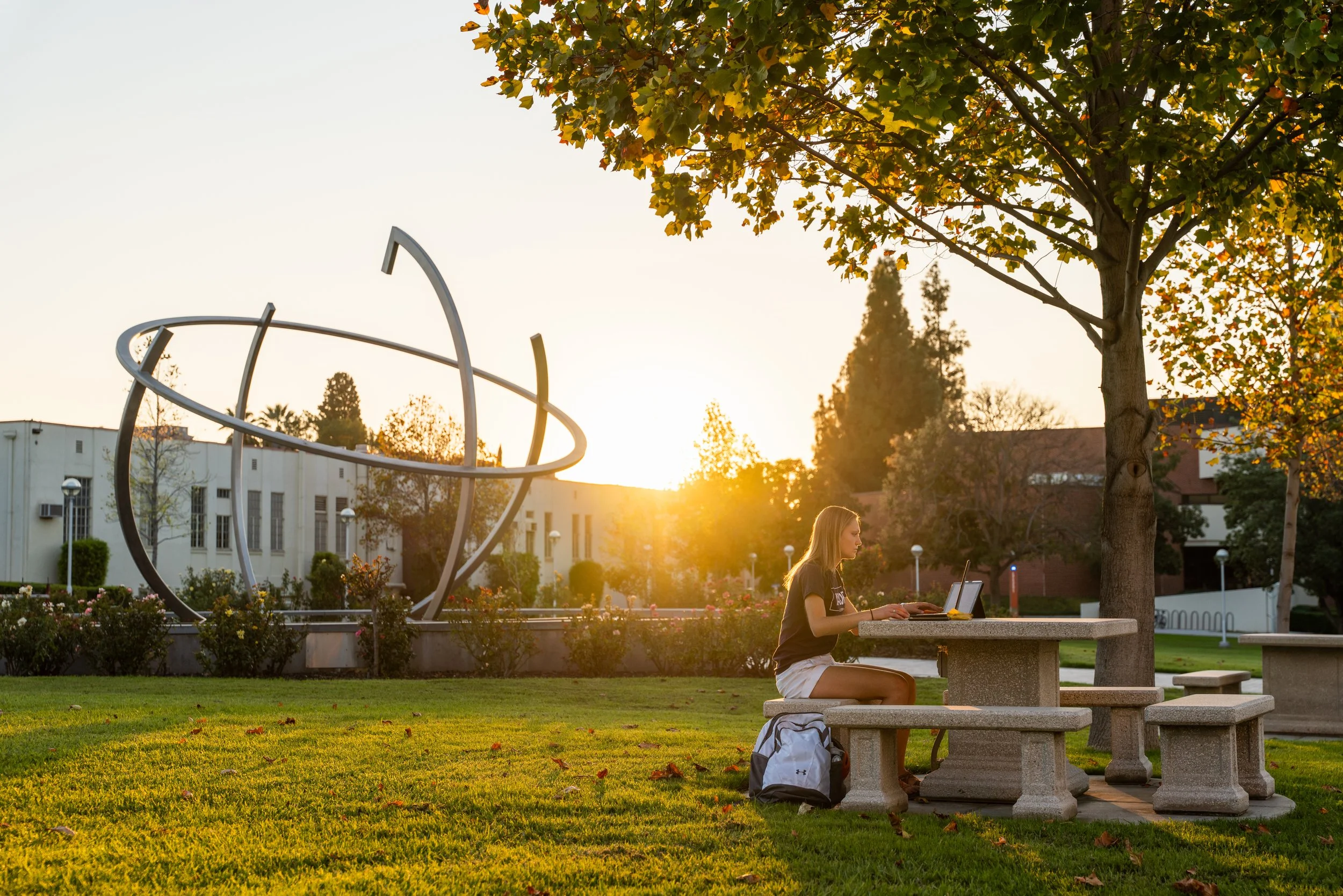 02 A Campus Study Break.jpg