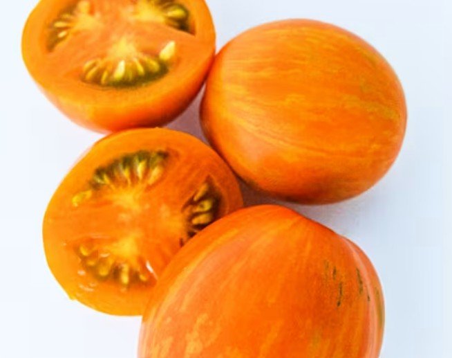 zebra apricot.jpg