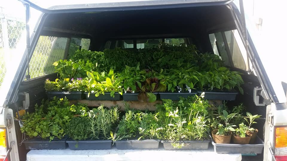 truck plants.jpg