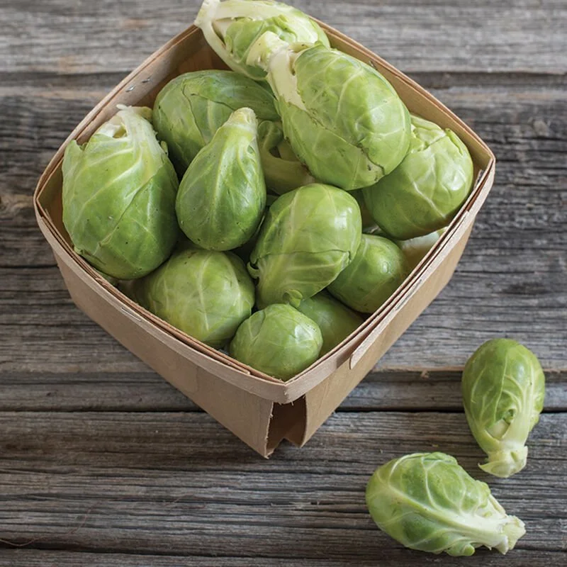 Preorder Brussel's Sprouts Plants