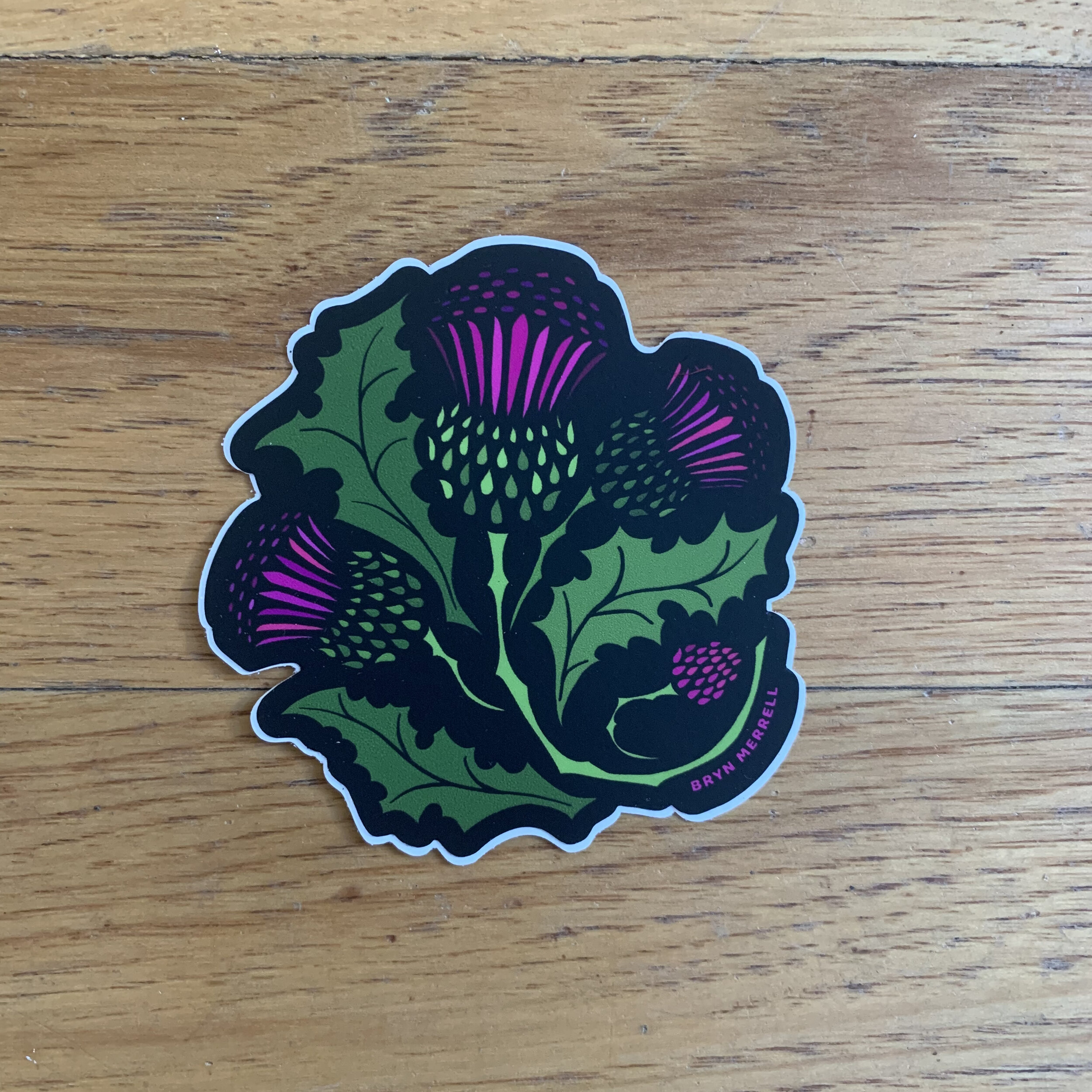 bryn merrell thistle sticker 2.jpeg