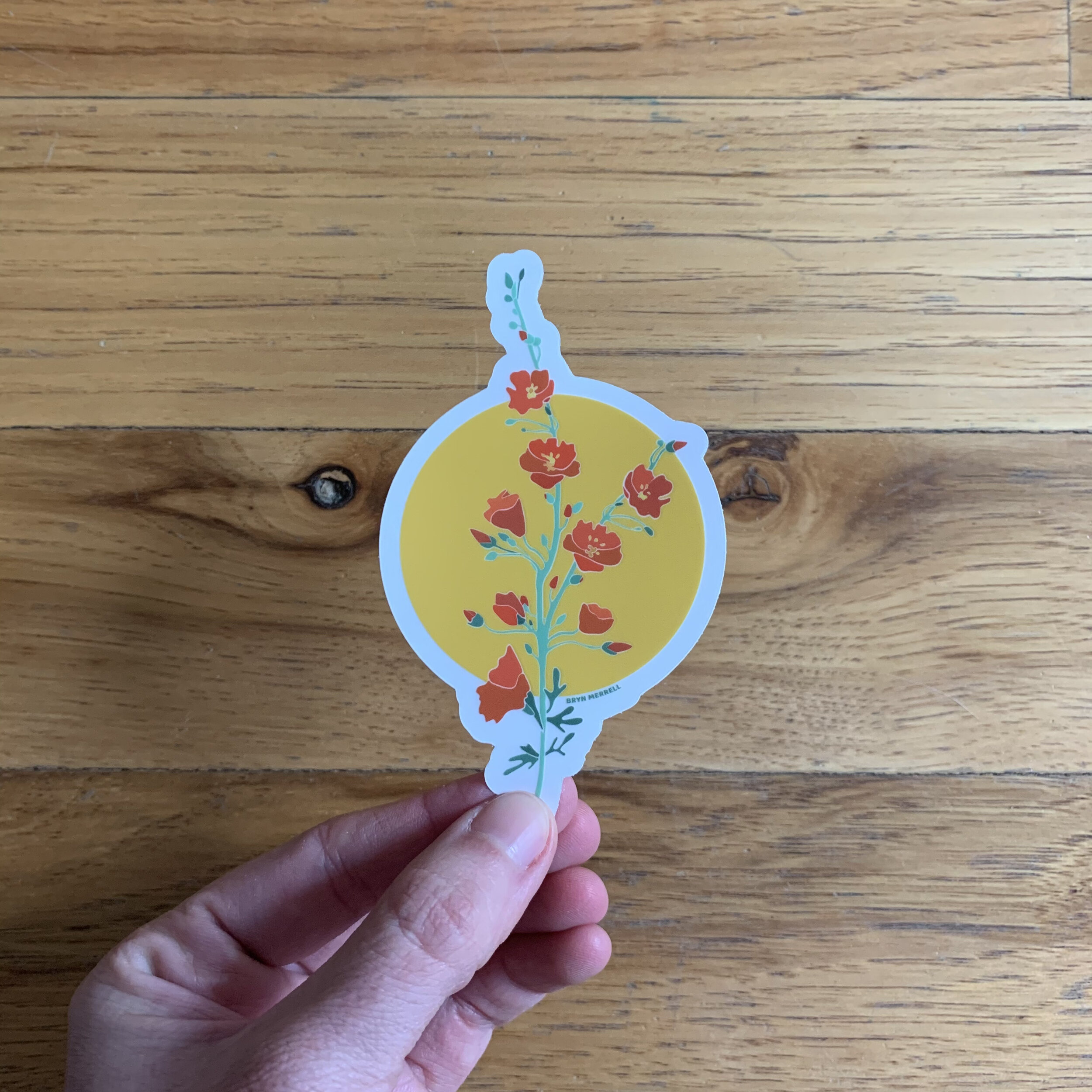 bryn merrell globemallow sticker 2.jpeg