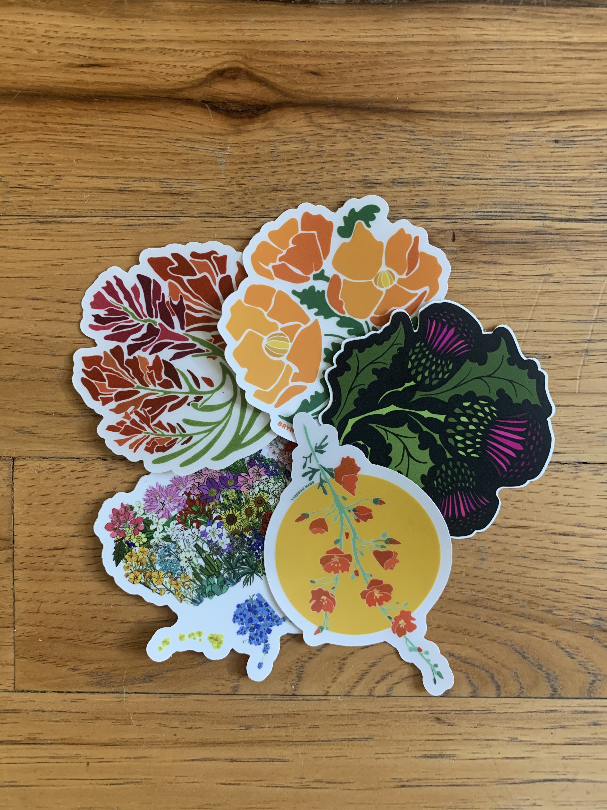 wildflower sticker pack.jpeg
